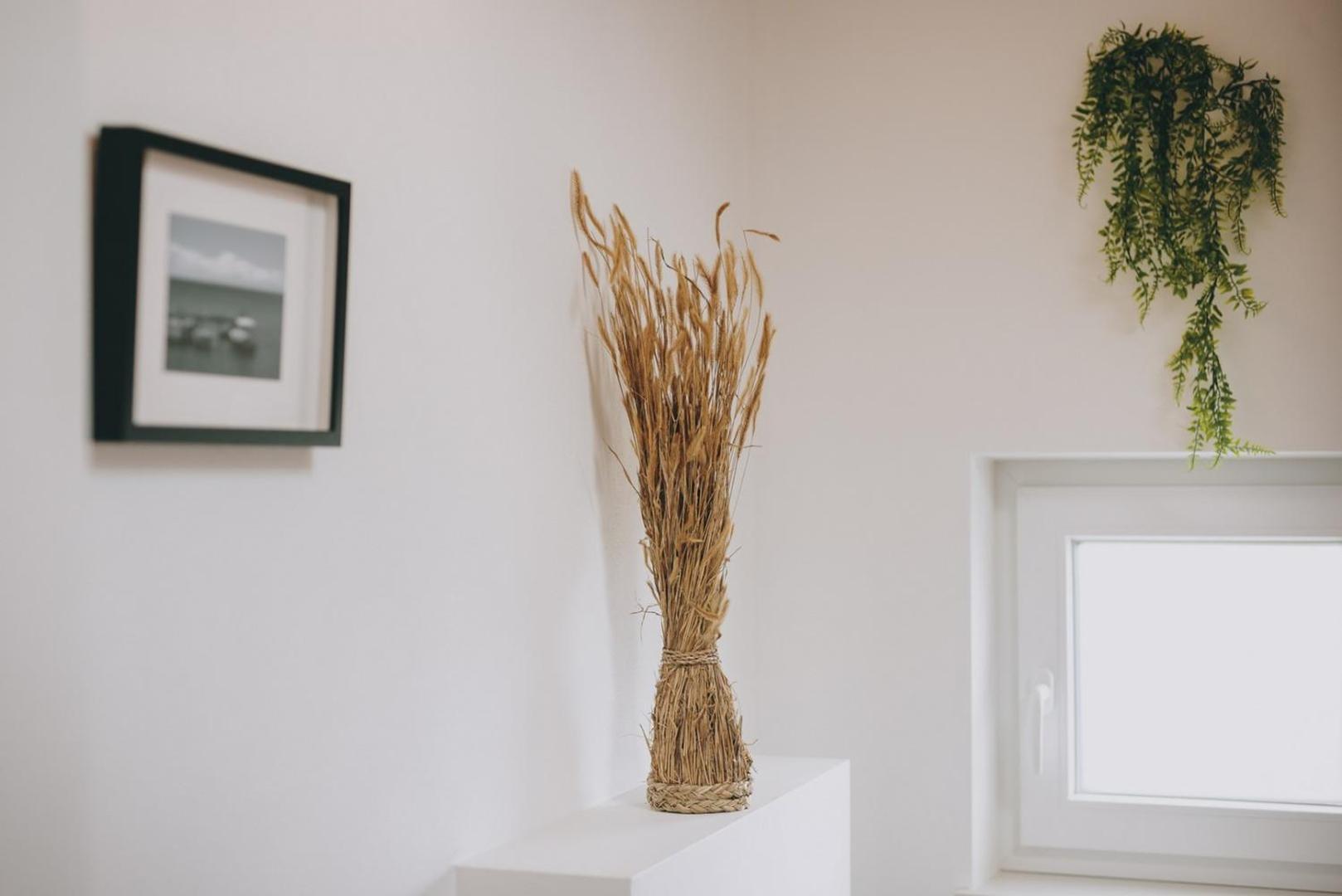 Casa Vitale view 4