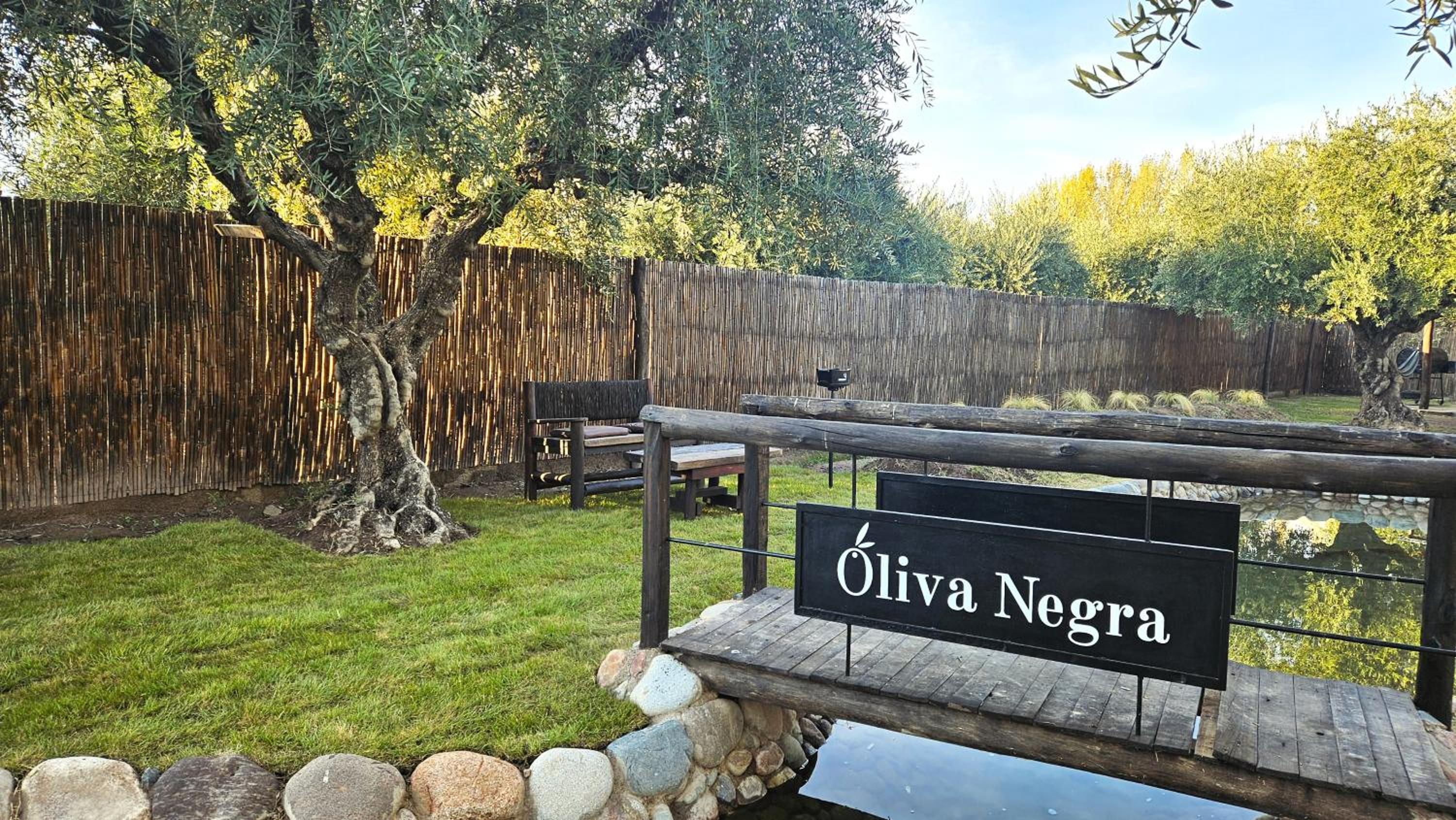 OlivaNegra Resort - Oliva3