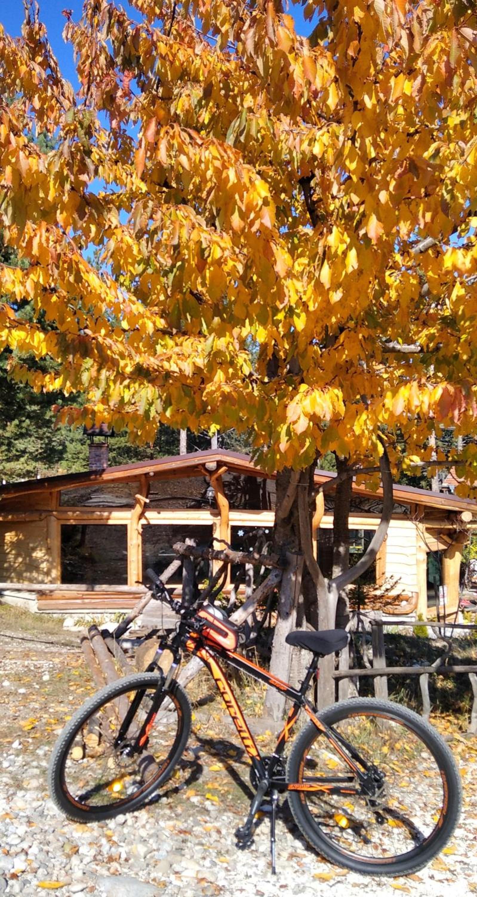 apartment Serenity, Bansko