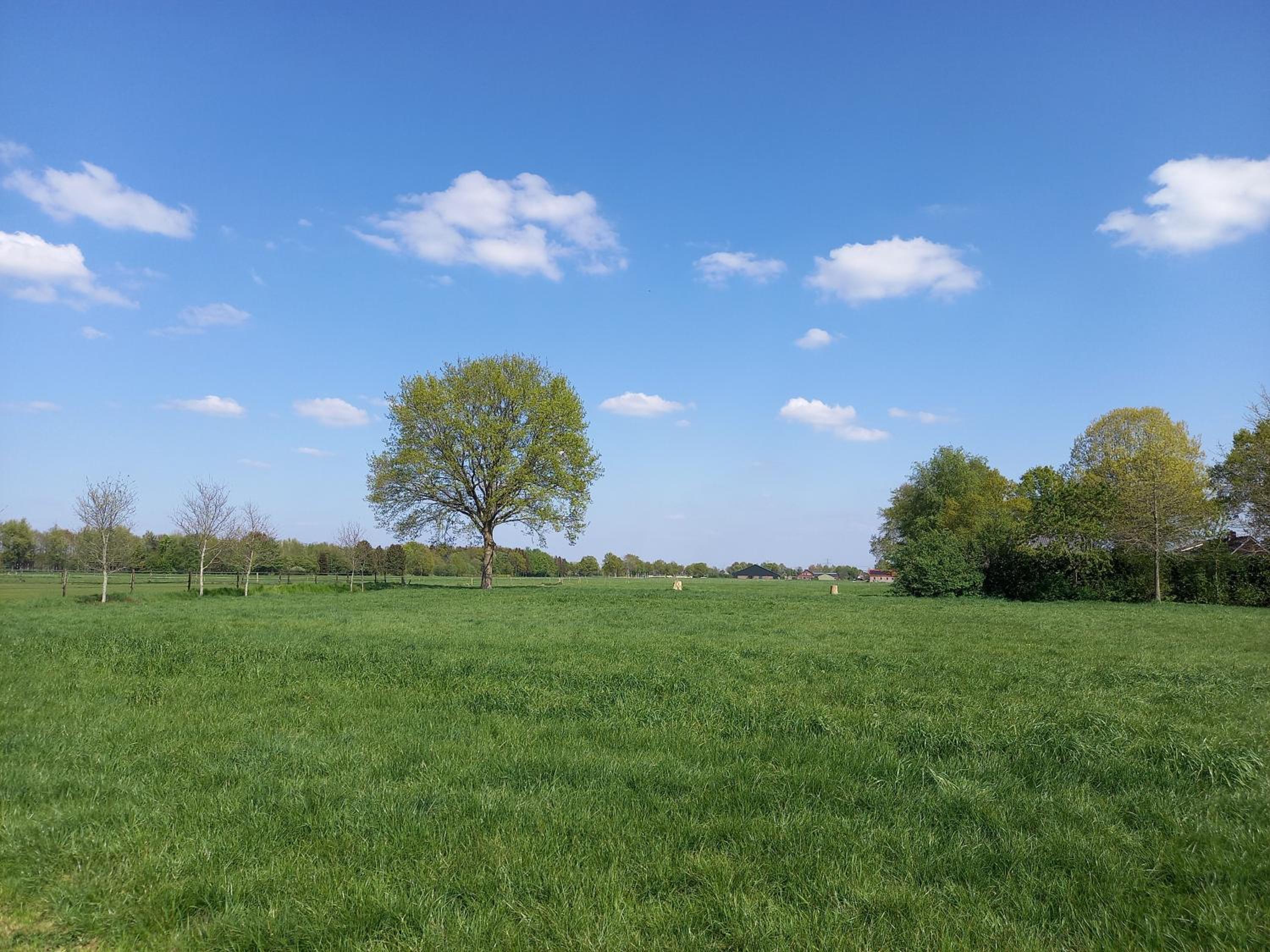 BuitenplaatsDrenthe