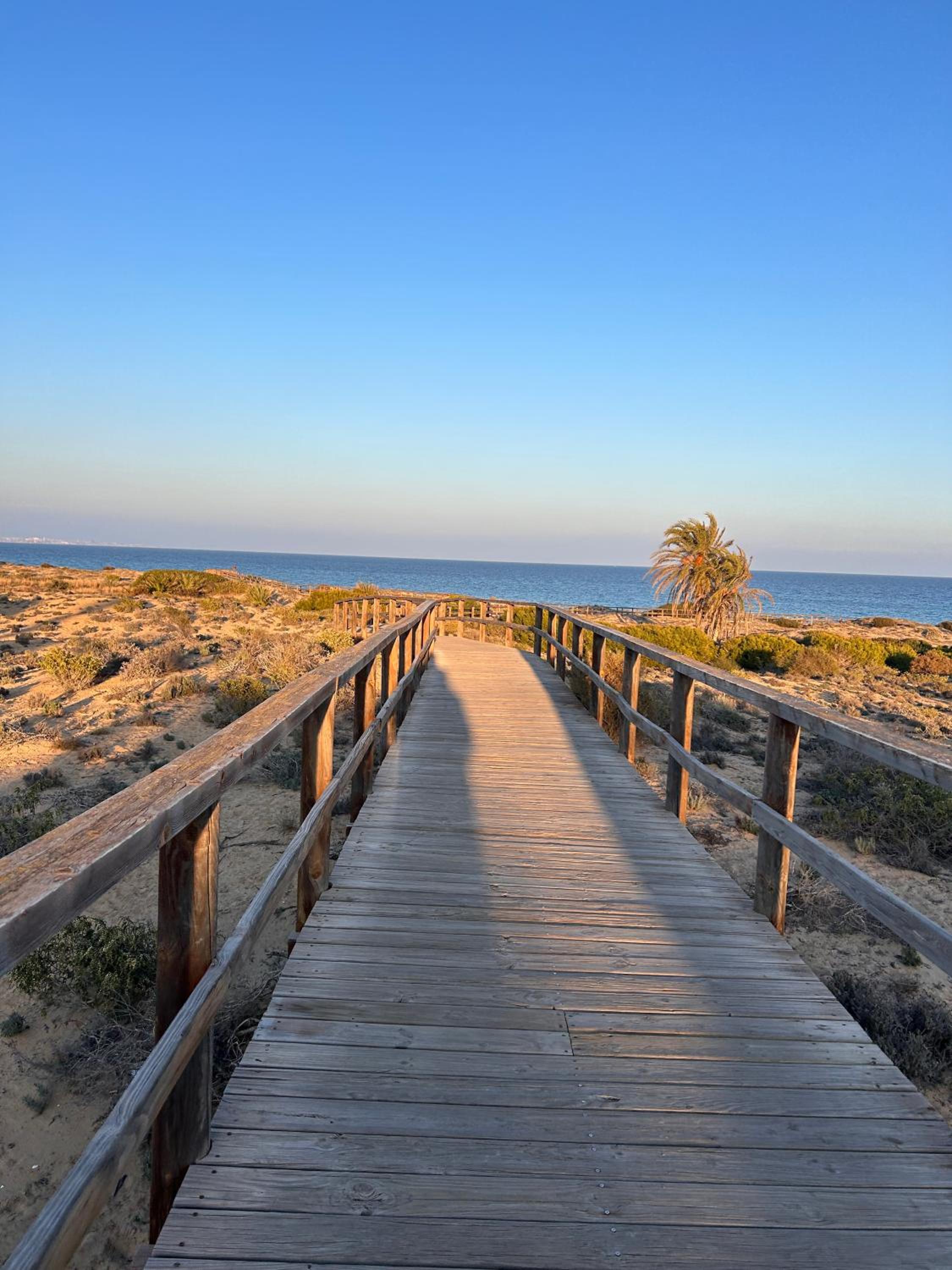 Altomar II Gran Alacant