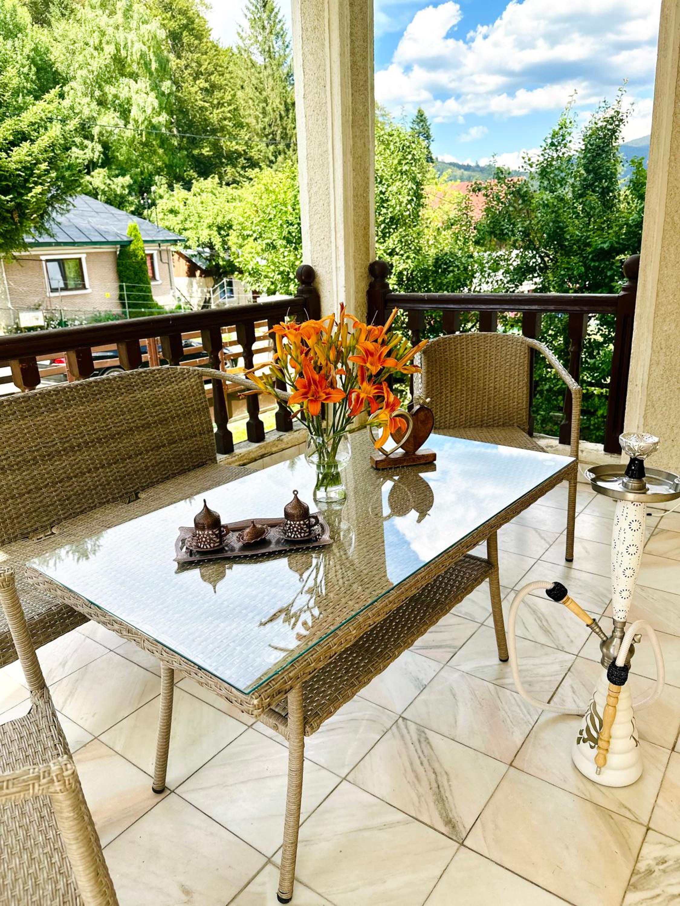 Vila Kira Buşteni view 4