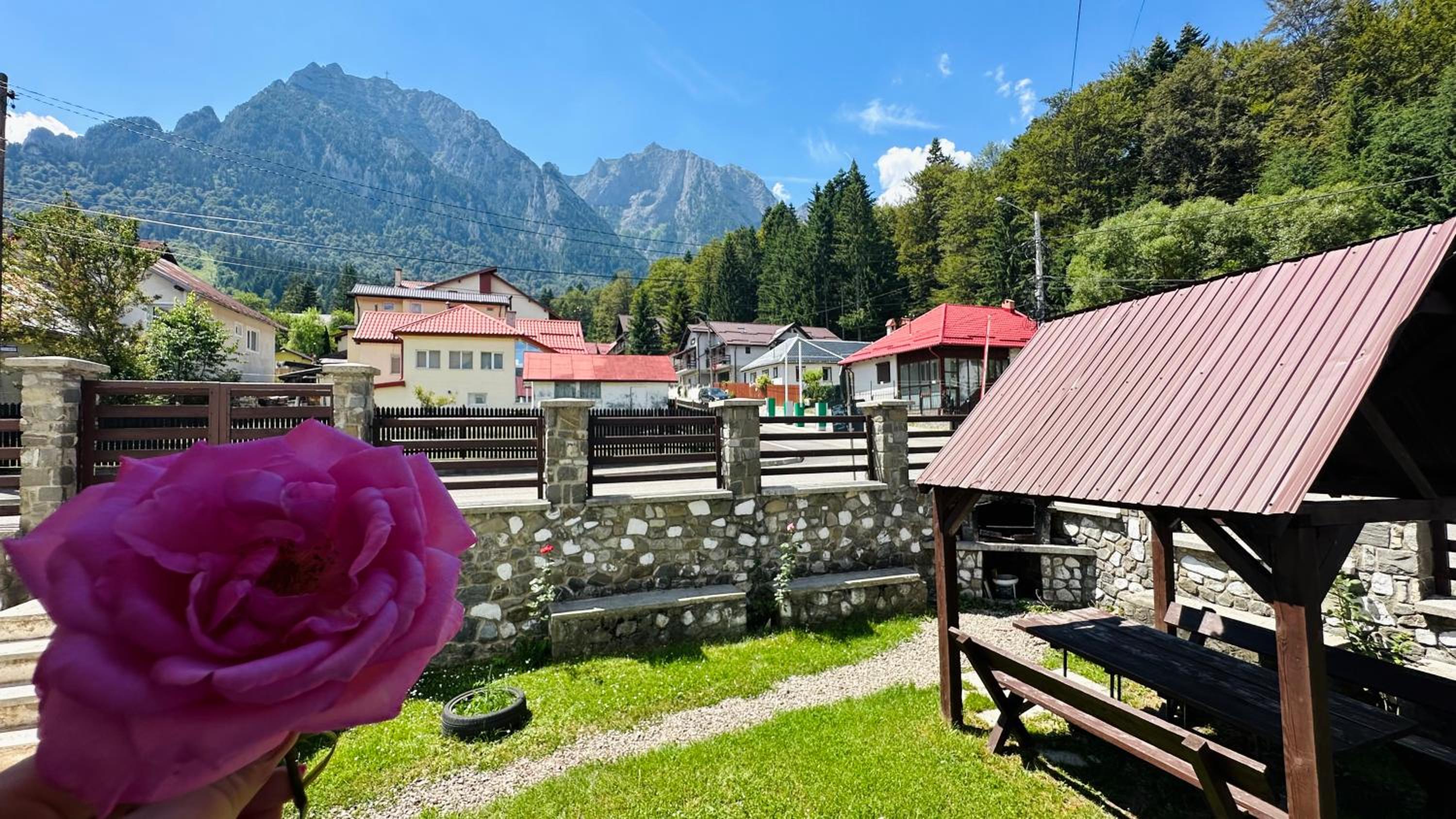 Vila Kira Buşteni view 3