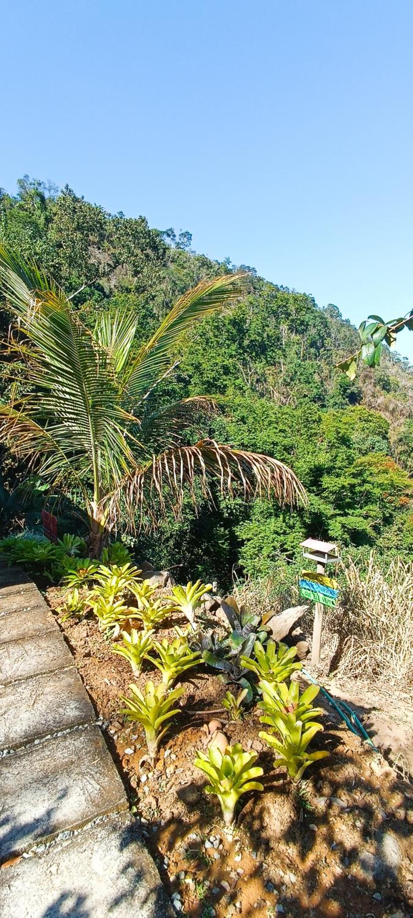 Cantinho da Mata. A Natureza no Quintal. Ibituruna