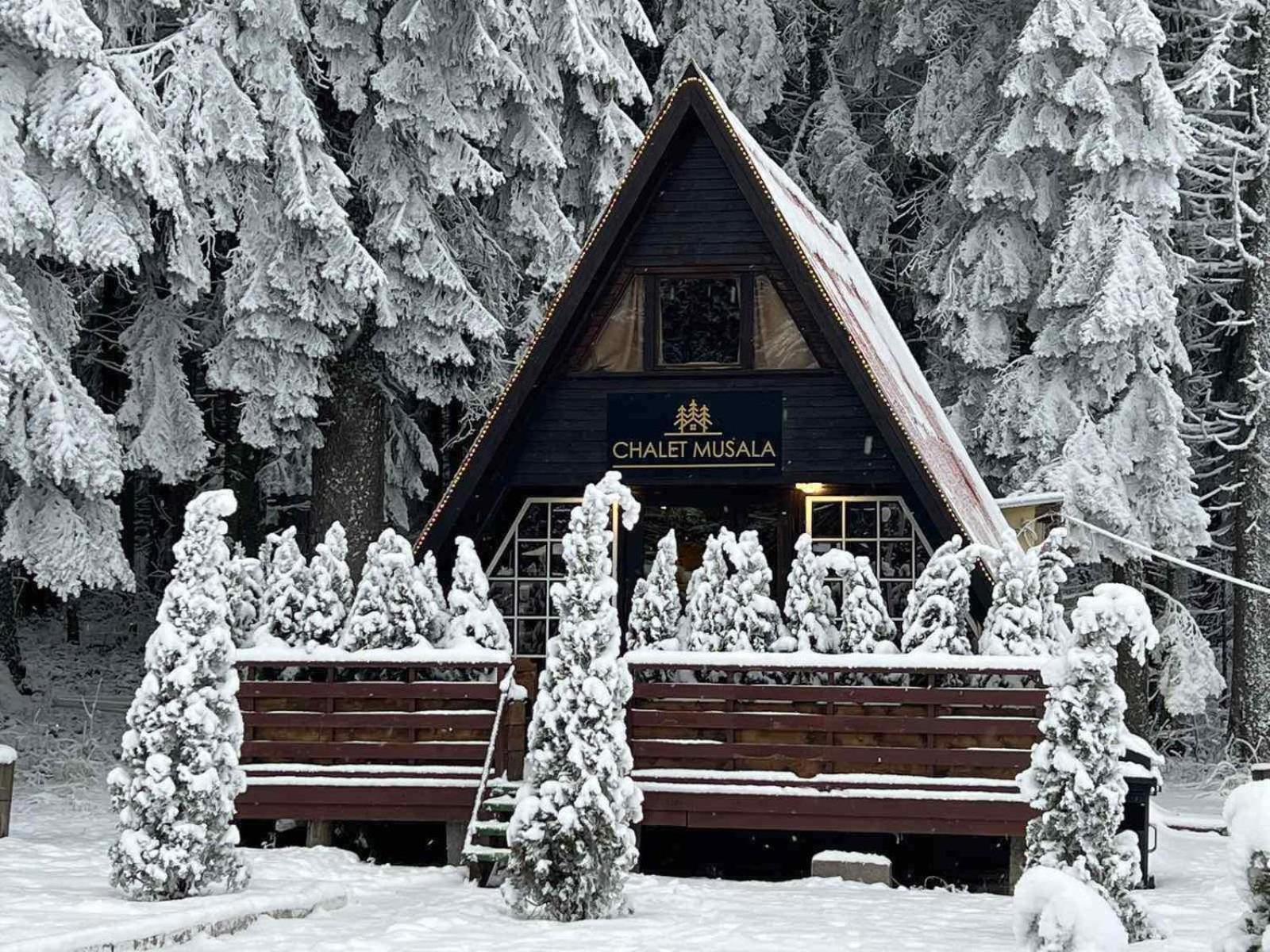 Chalet Musala Borovets by BookVillaBG