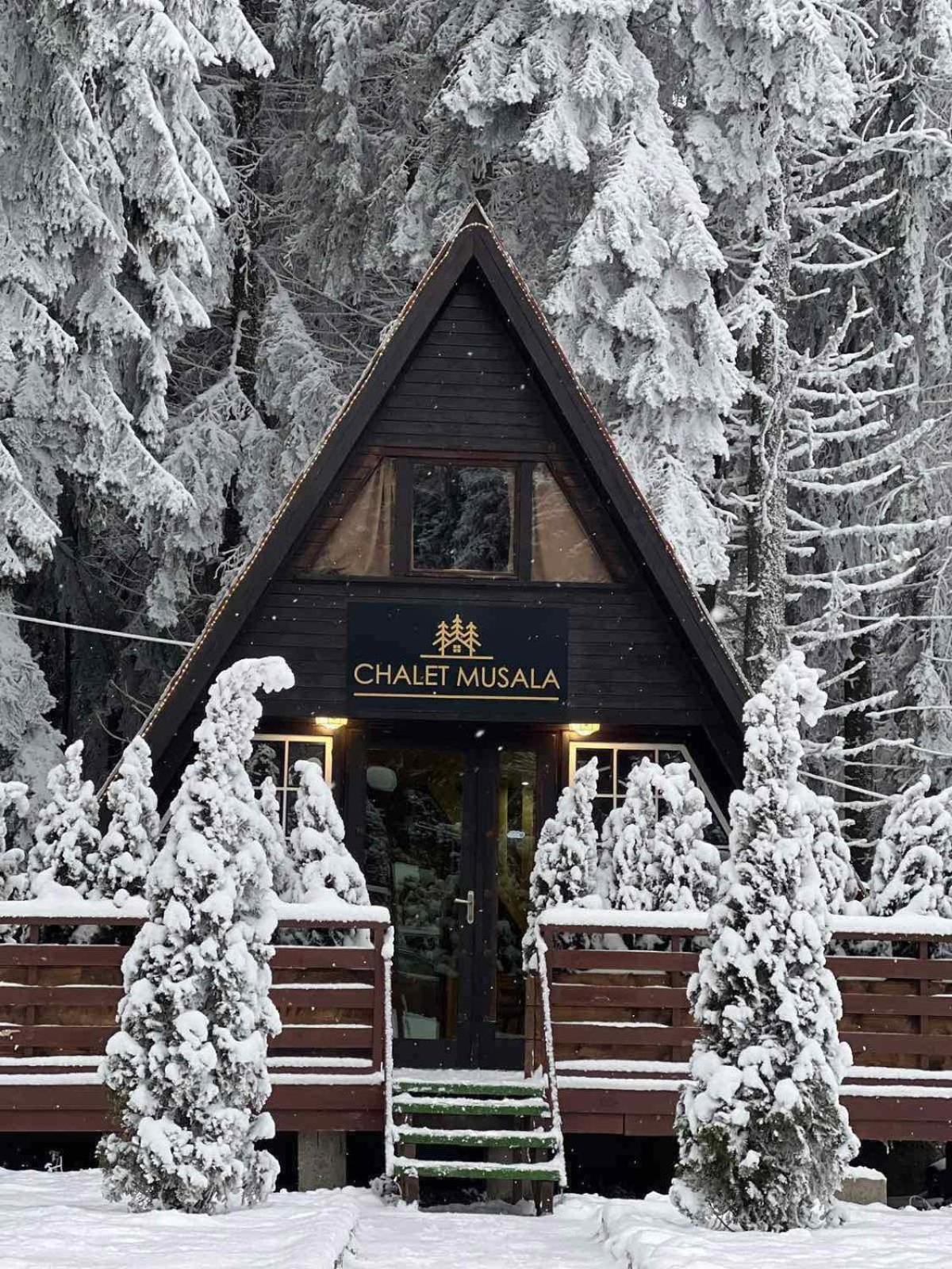 Chalet Musala Borovets by BookVillaBG