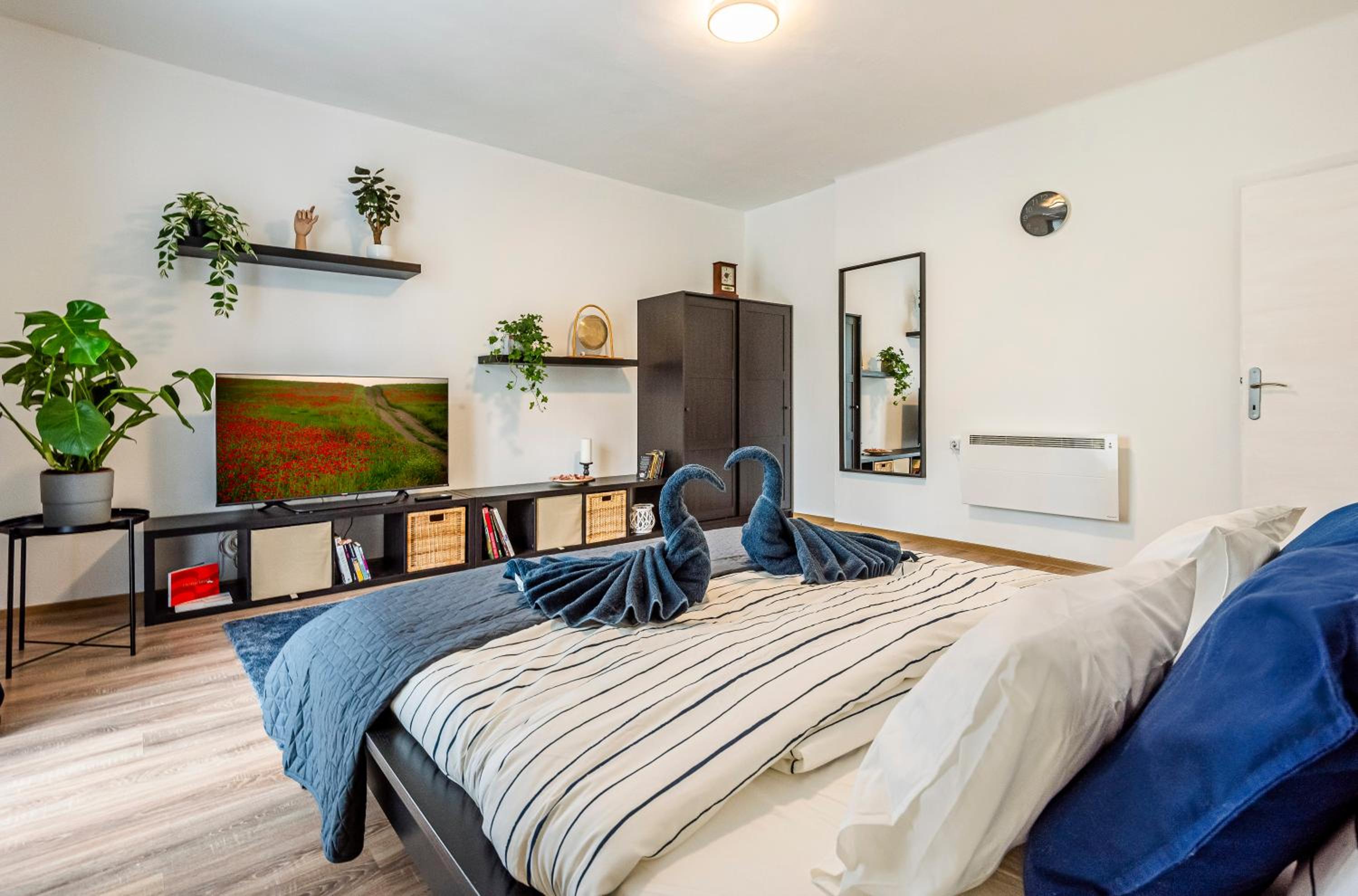 Riverside Apartment No1 view 4