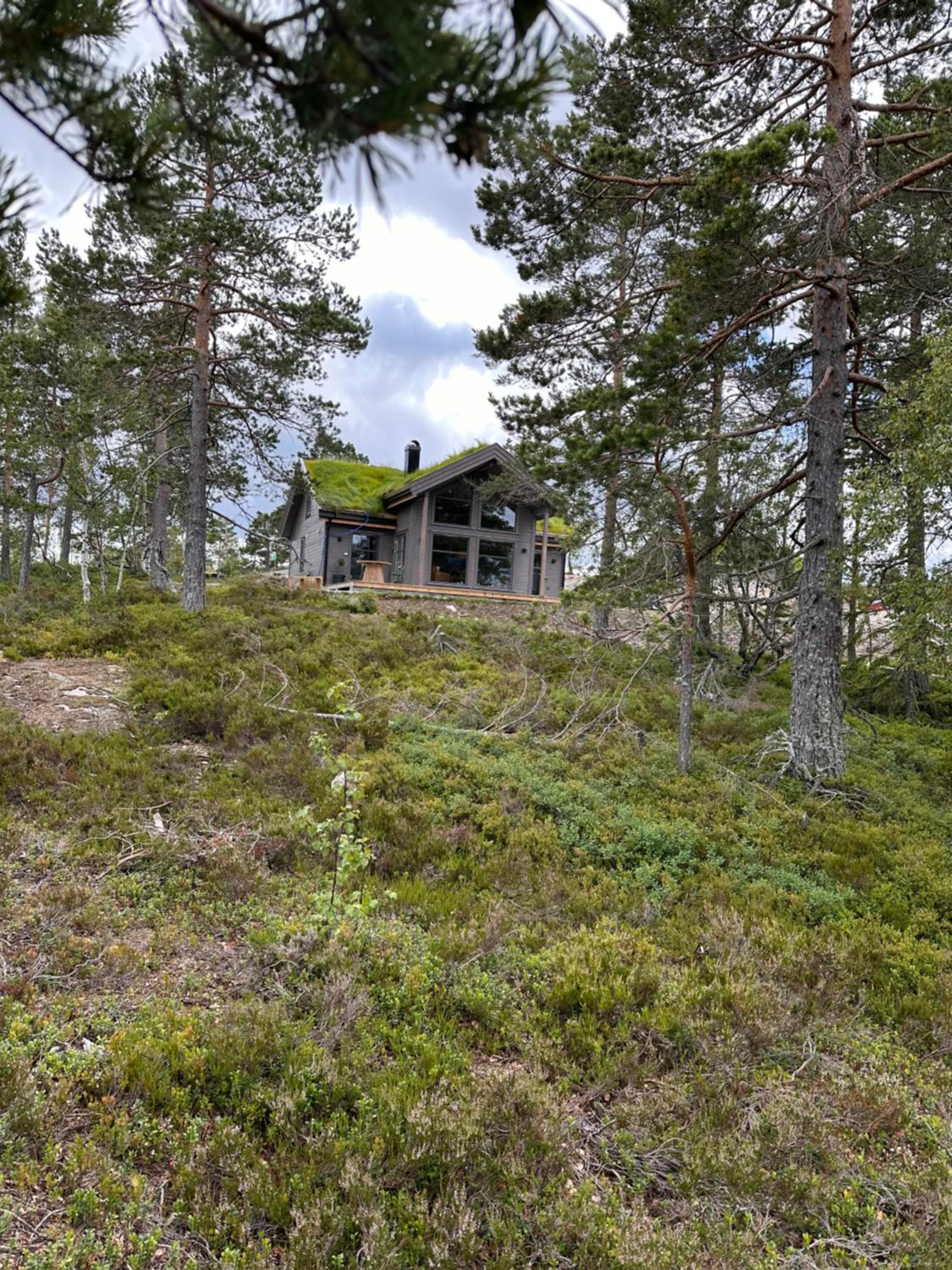 Moderne Fjellhytte Gautefall med Utsikt