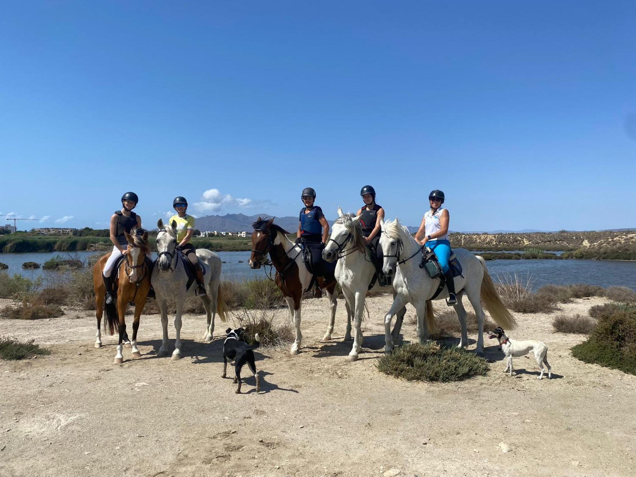 Apartamento A & M photo 3