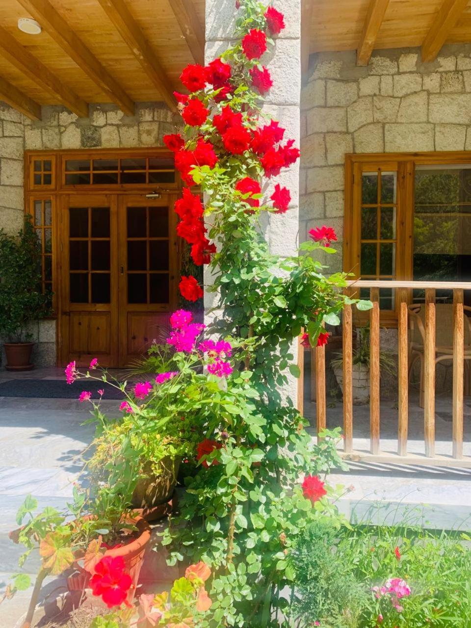 Farm House Resort view 3