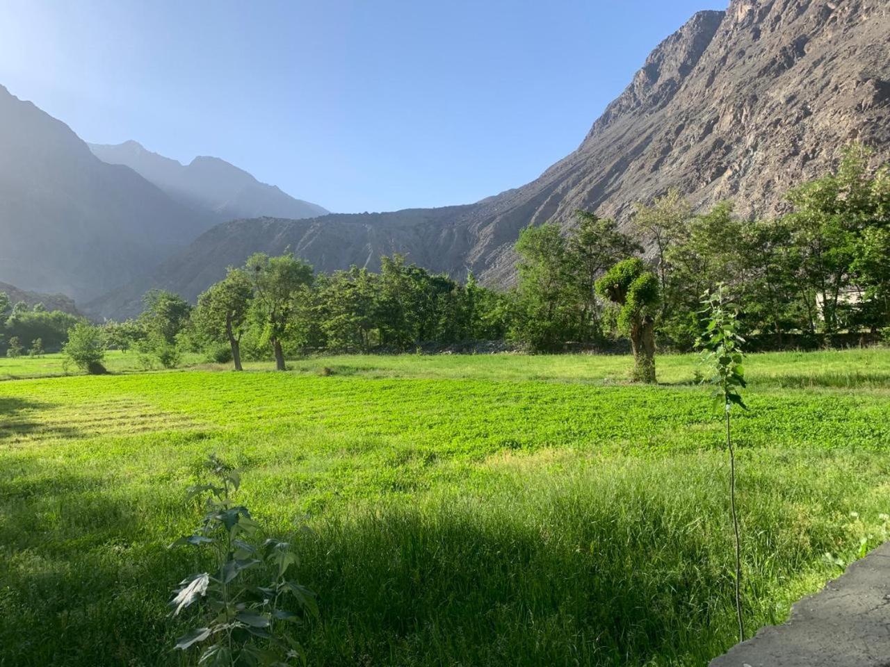 Farm House Resort view 4