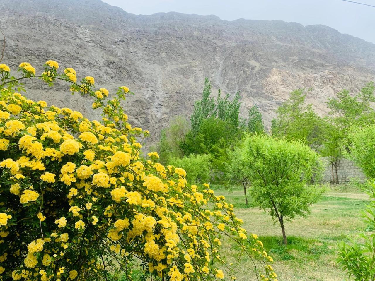 Photo 9