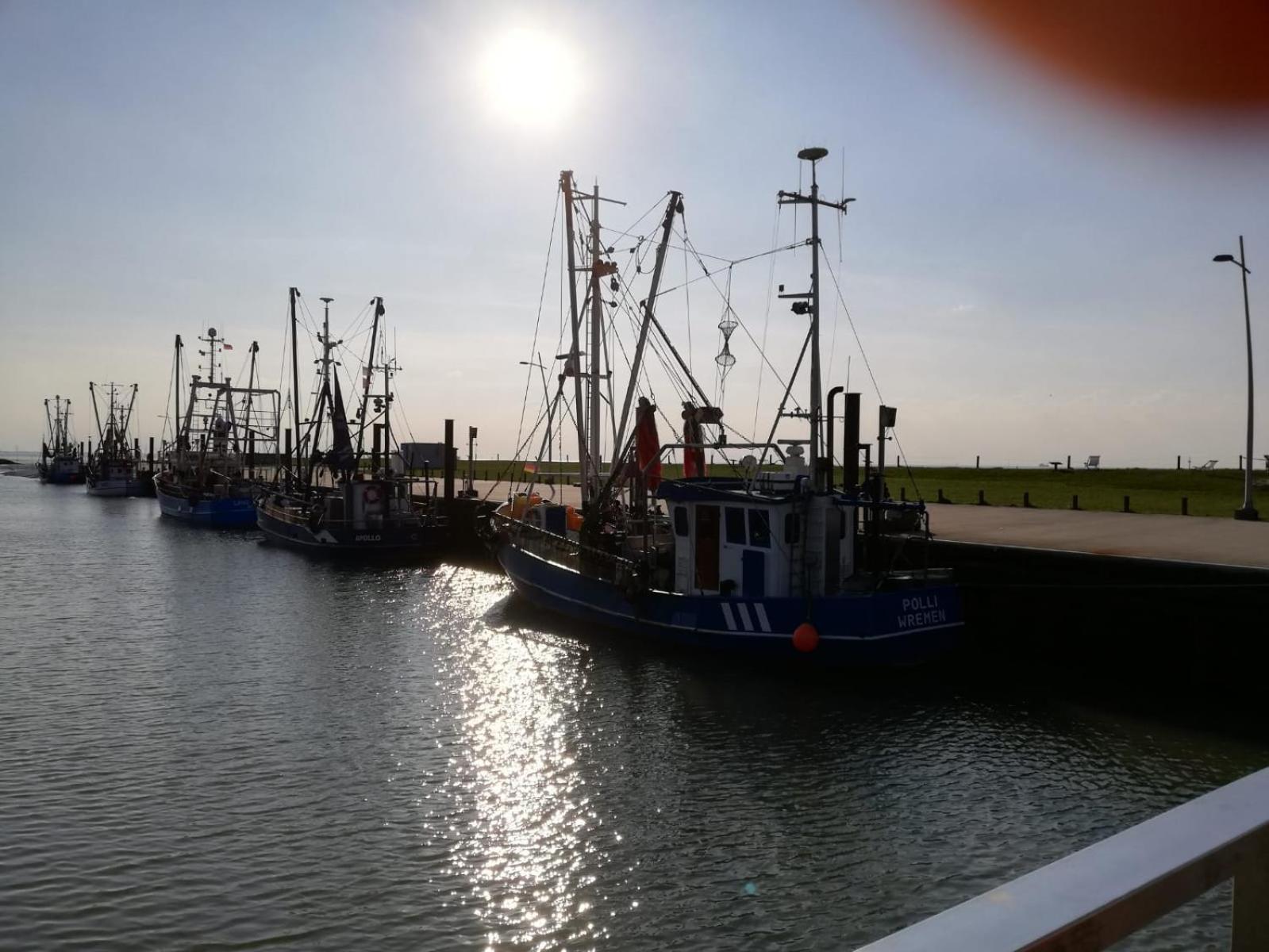Ferienhaus Carolin am Nordseedeich