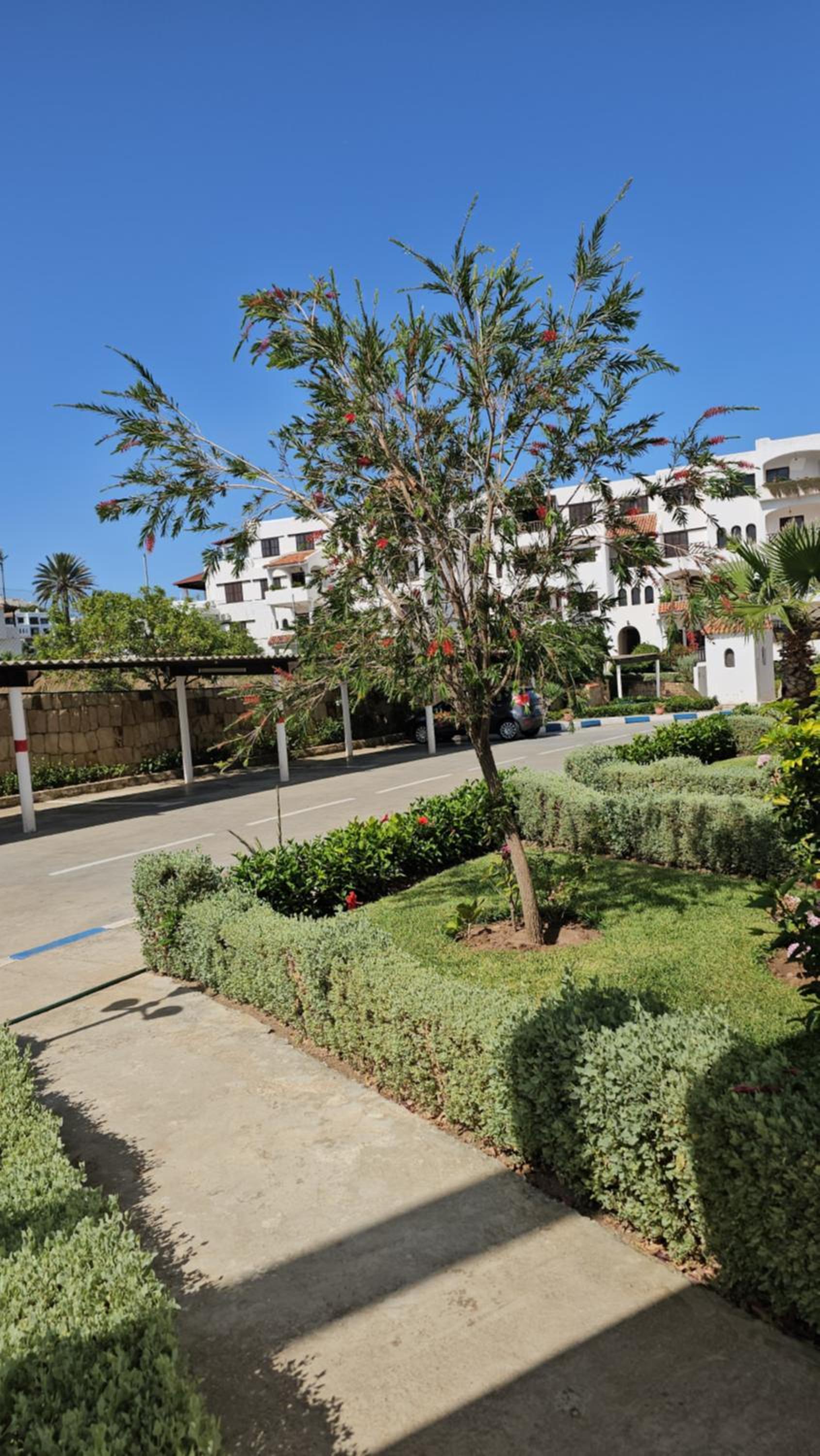 Jardin de cabo