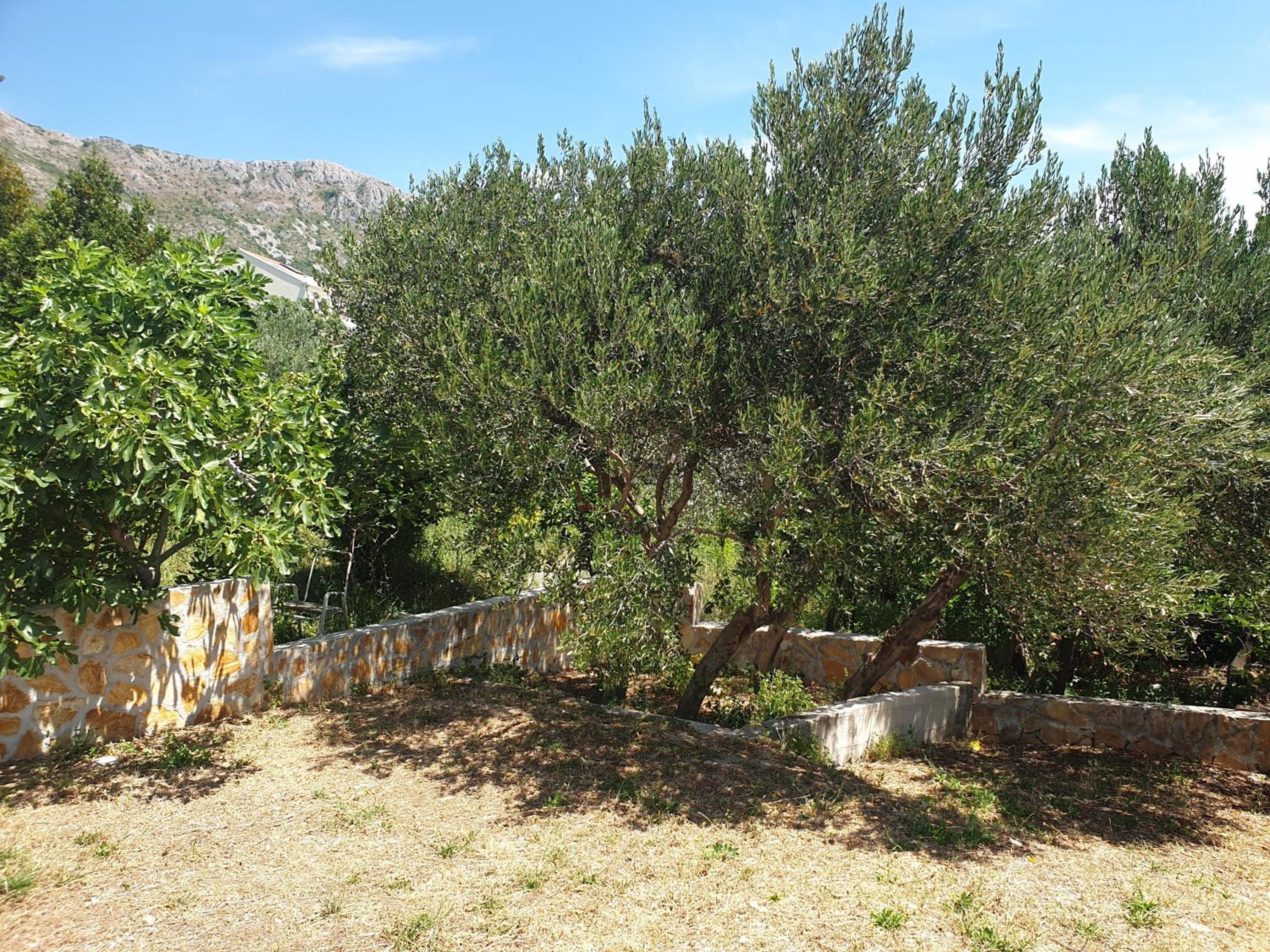 Villa Avoca