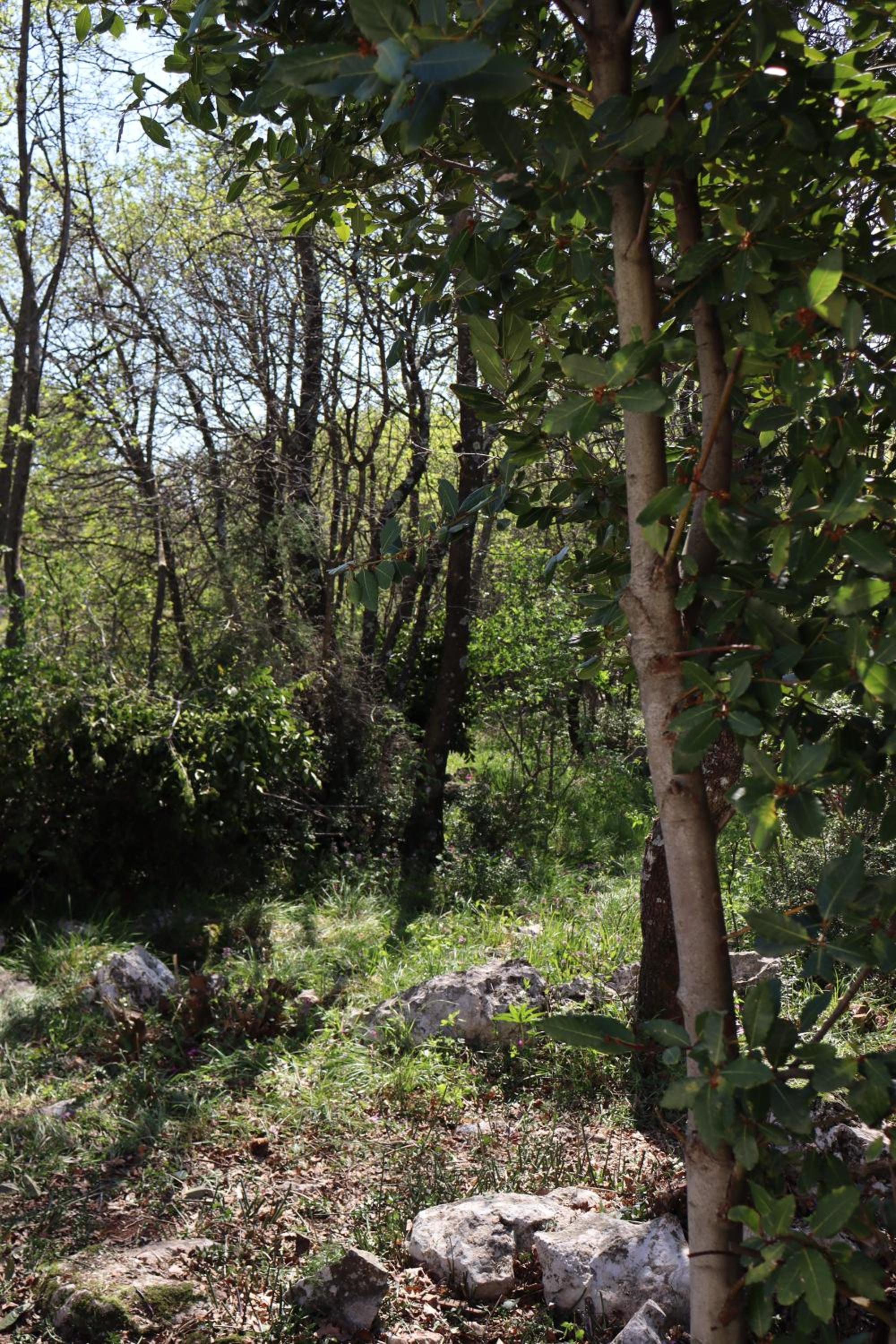 Photo 18