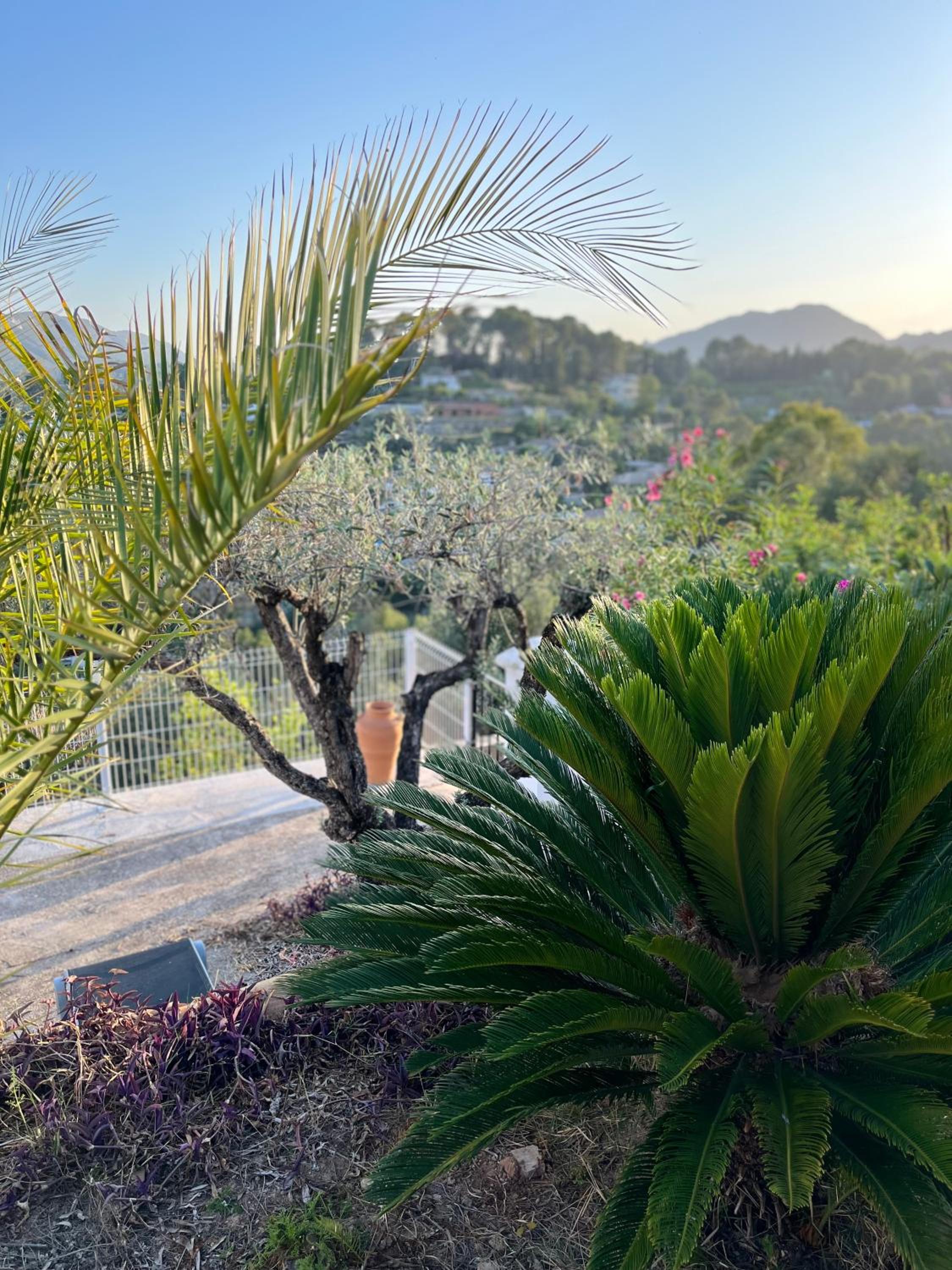 Villa Rios