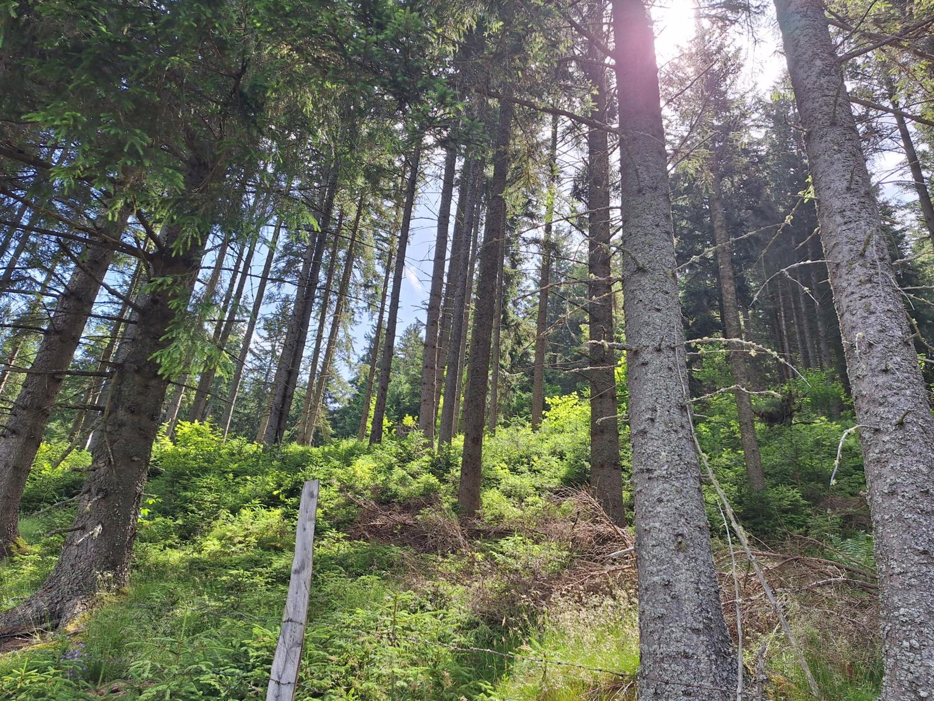 Naturpark Bauernhof Sperl