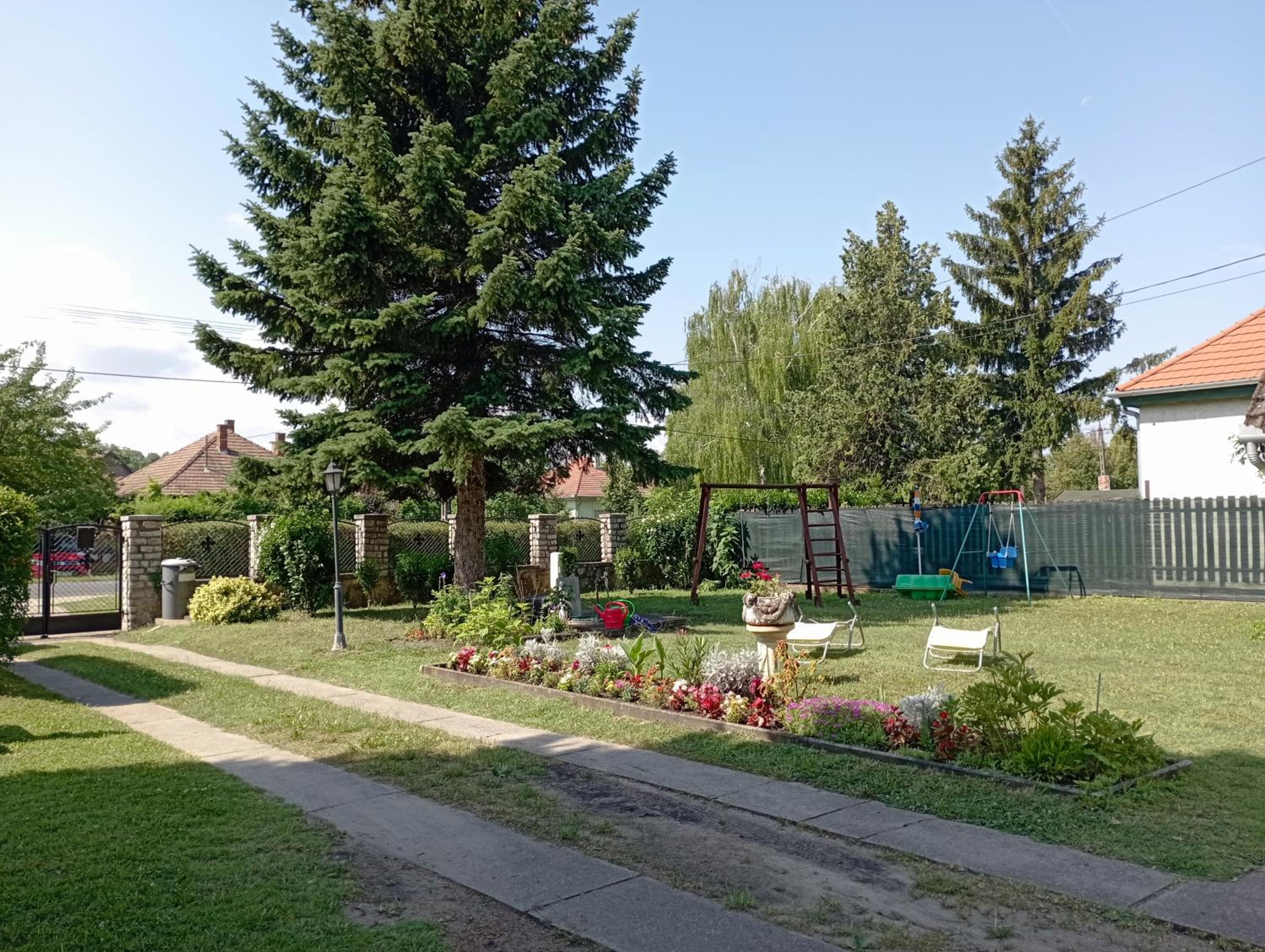 Photo 19