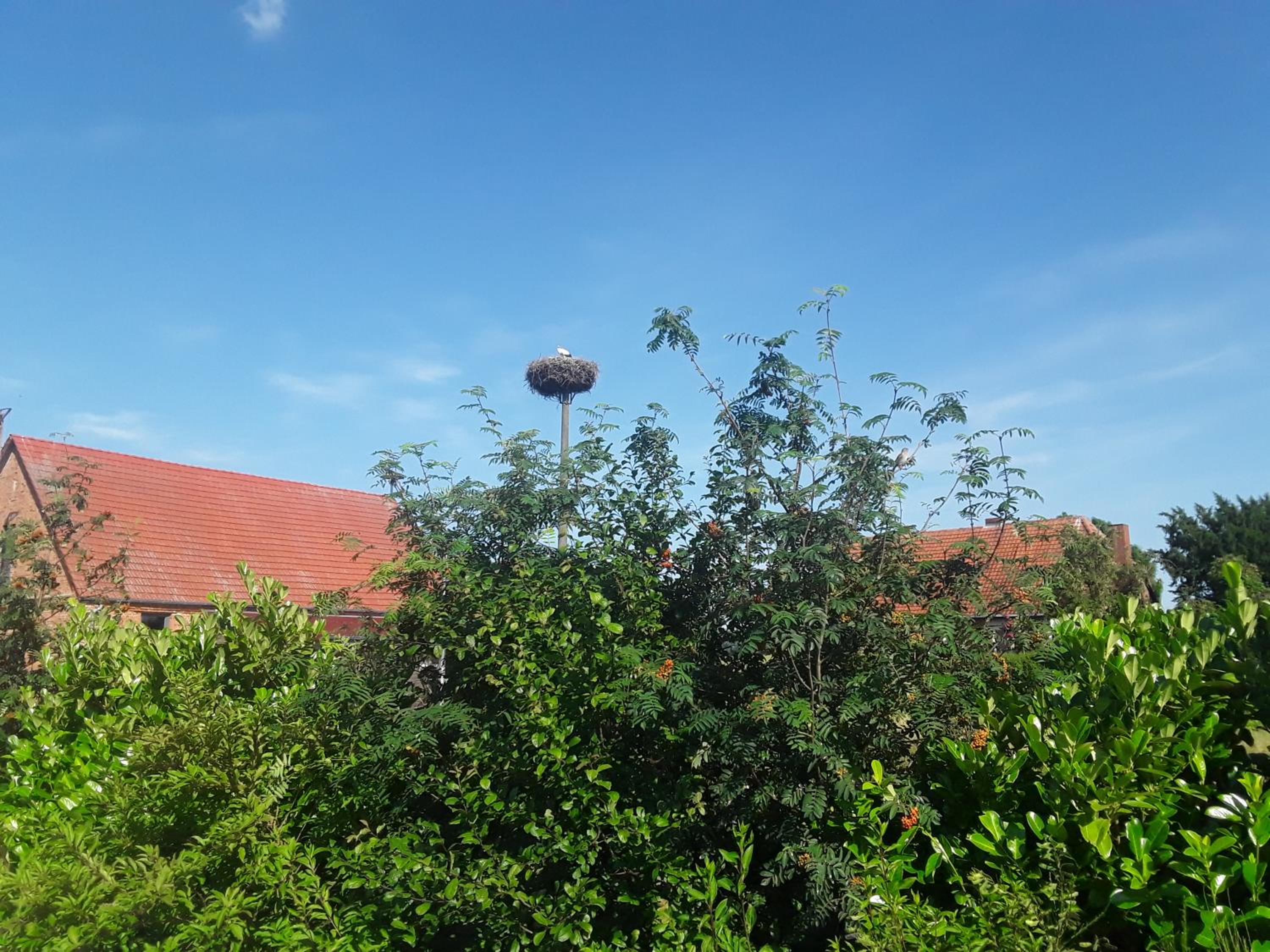 Ferienhäuser Seeblick