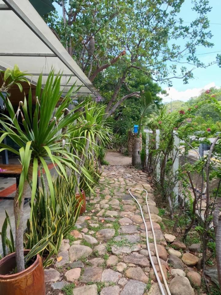 Photo 12