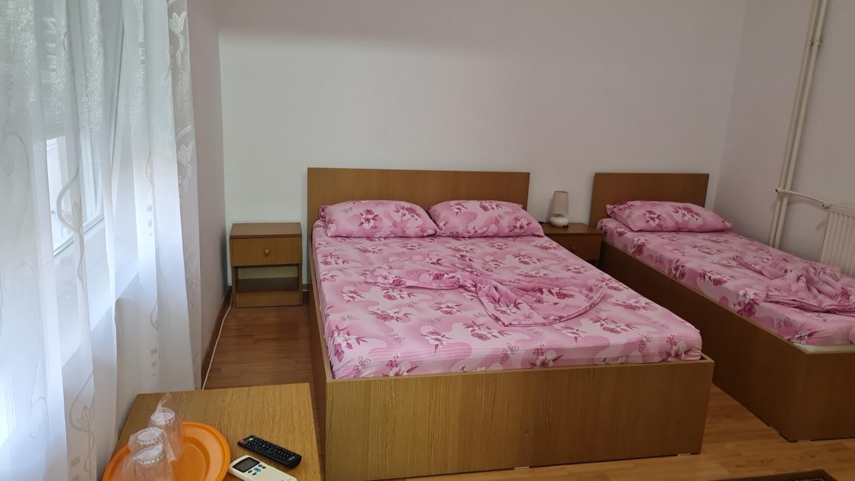 Vila turistica UDREA