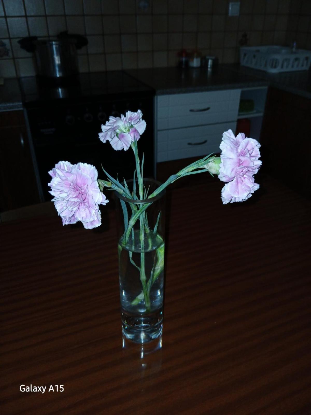 Antonia Apartment