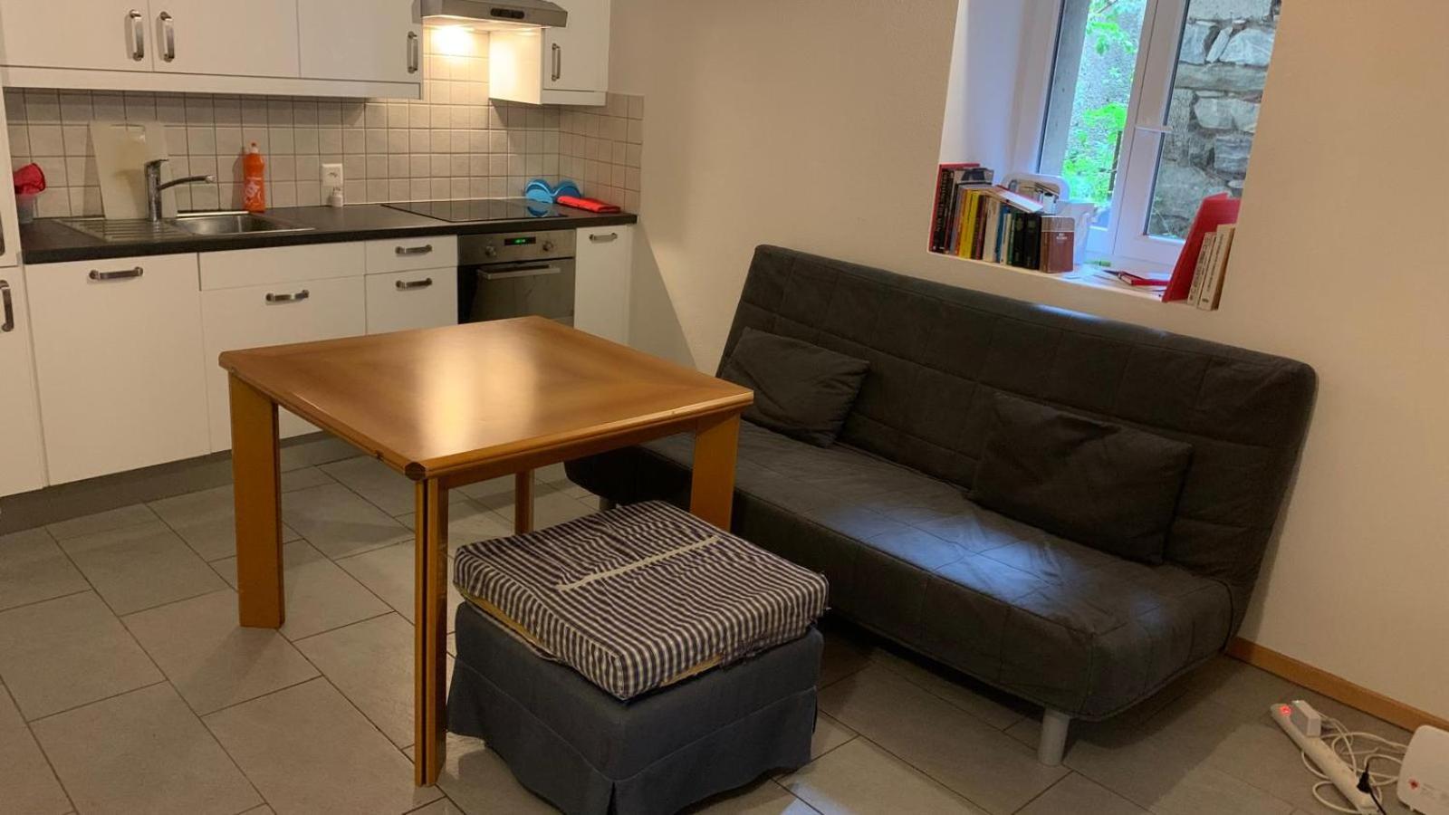 Quiet Flat in Nature in Lugano