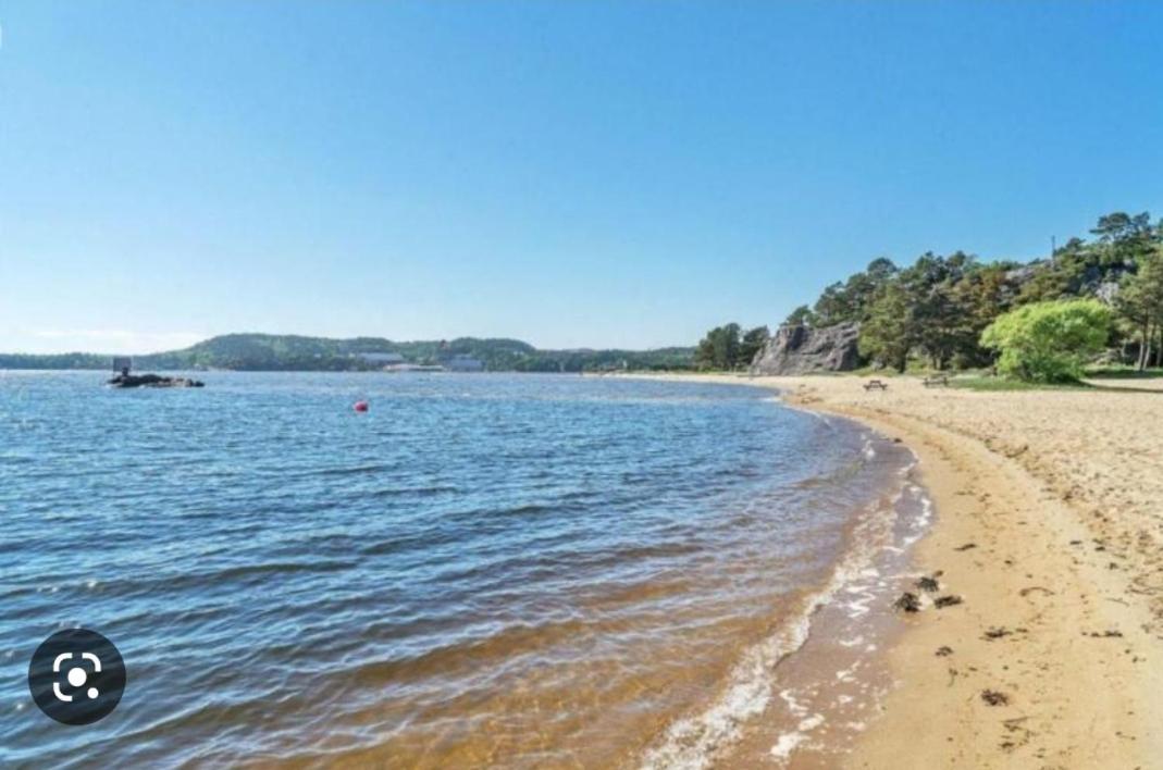 Panorama havutsikt-Tjønneveien