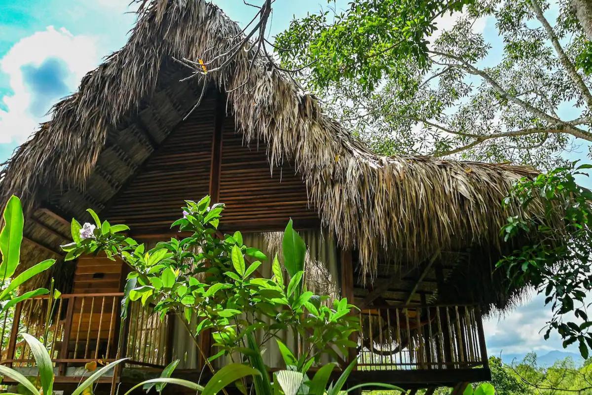 Birds Eye View Cabana 2