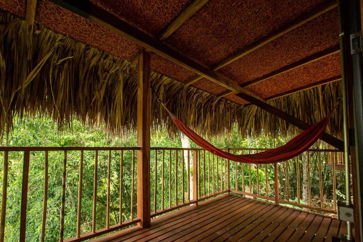 Birds Eye View Cabana 2