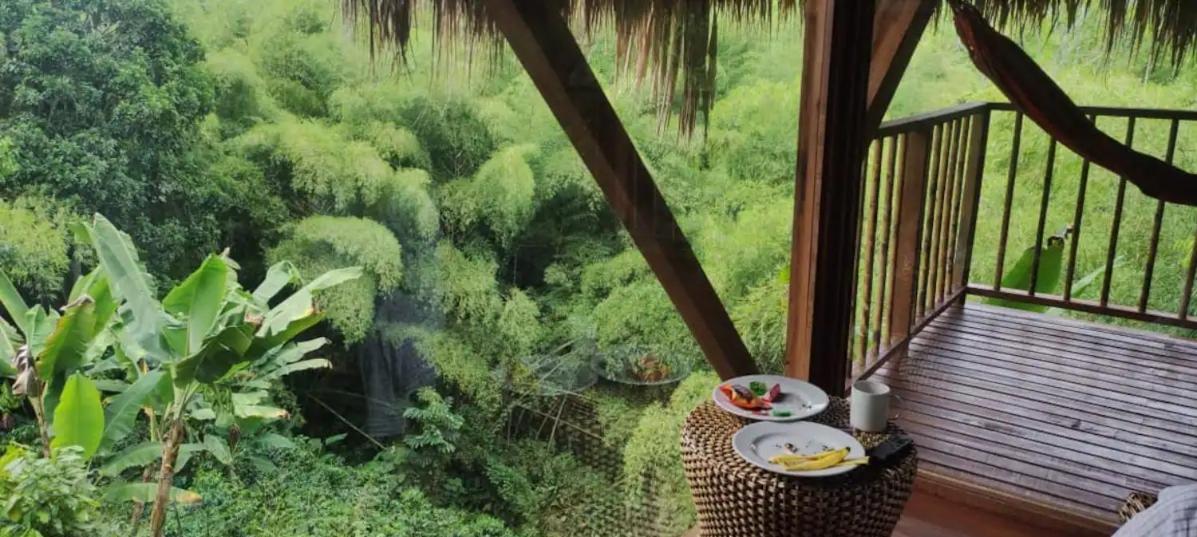 Birds Eye View Cabana 2