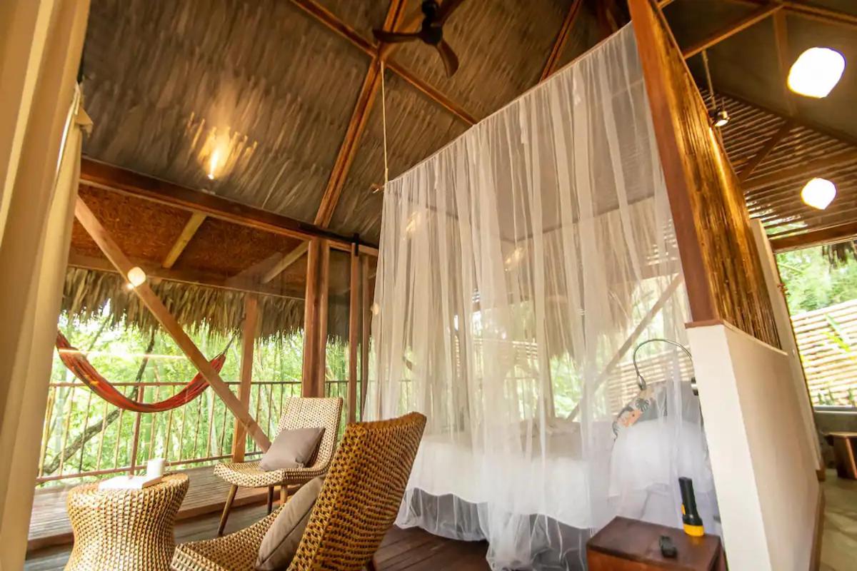 Cabin Nestled in Bamboo Forest