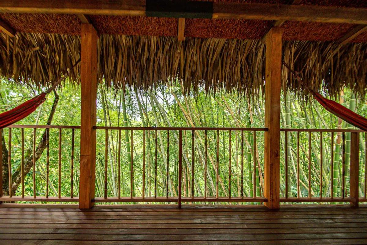 Cabin Nestled in Bamboo Forest