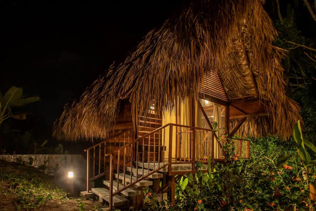 Cabin Nestled in Bamboo Forest