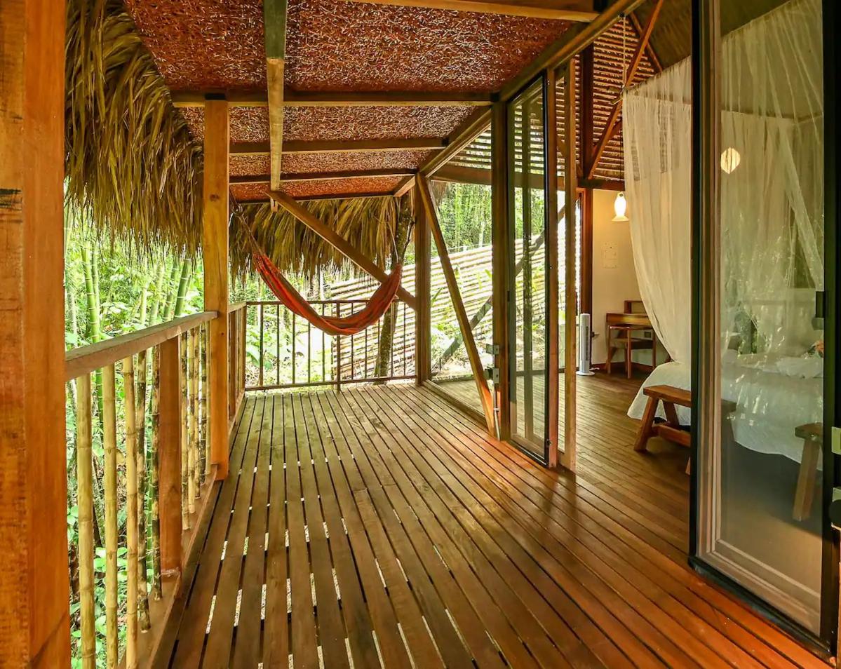 Cabin Nestled in Bamboo Forest
