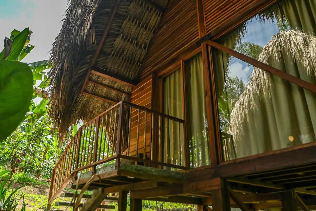 Cabin Nestled in Bamboo Forest