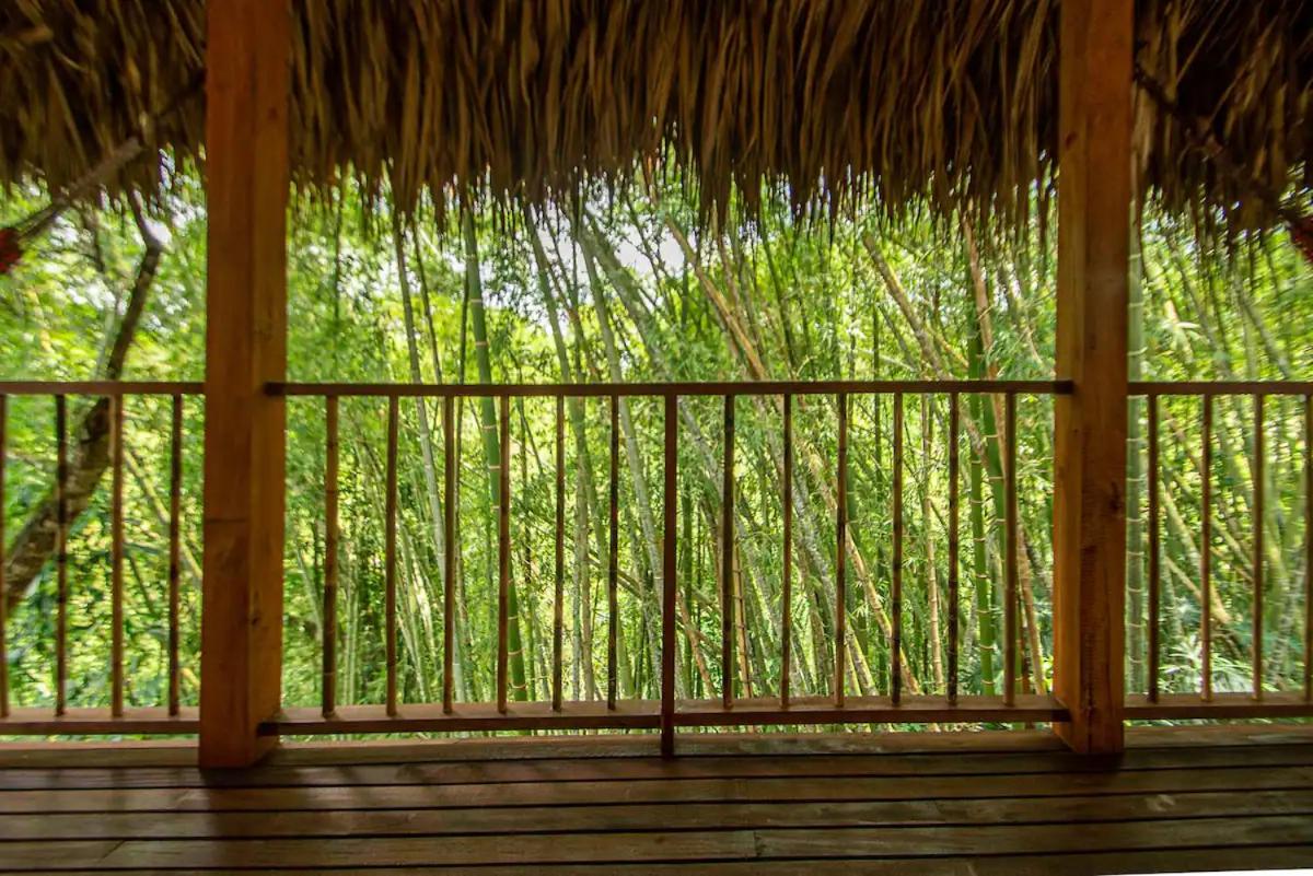 Cabin Nestled in Bamboo Forest