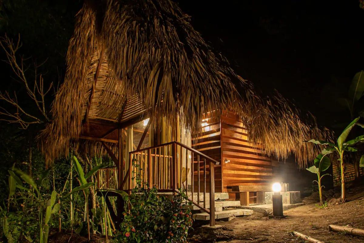 Cabin Nestled in Bamboo Forest