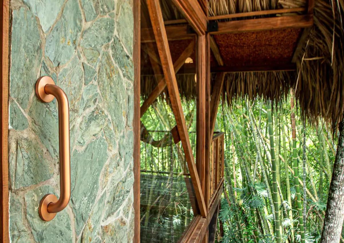 Cabin Nestled in Bamboo Forest