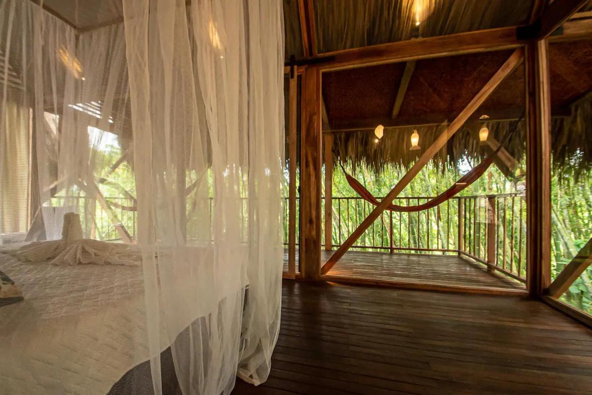 Cabin Nestled in Bamboo Forest