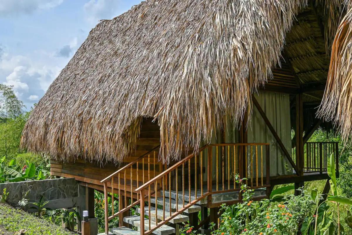 Cabin Nestled in Bamboo Forest