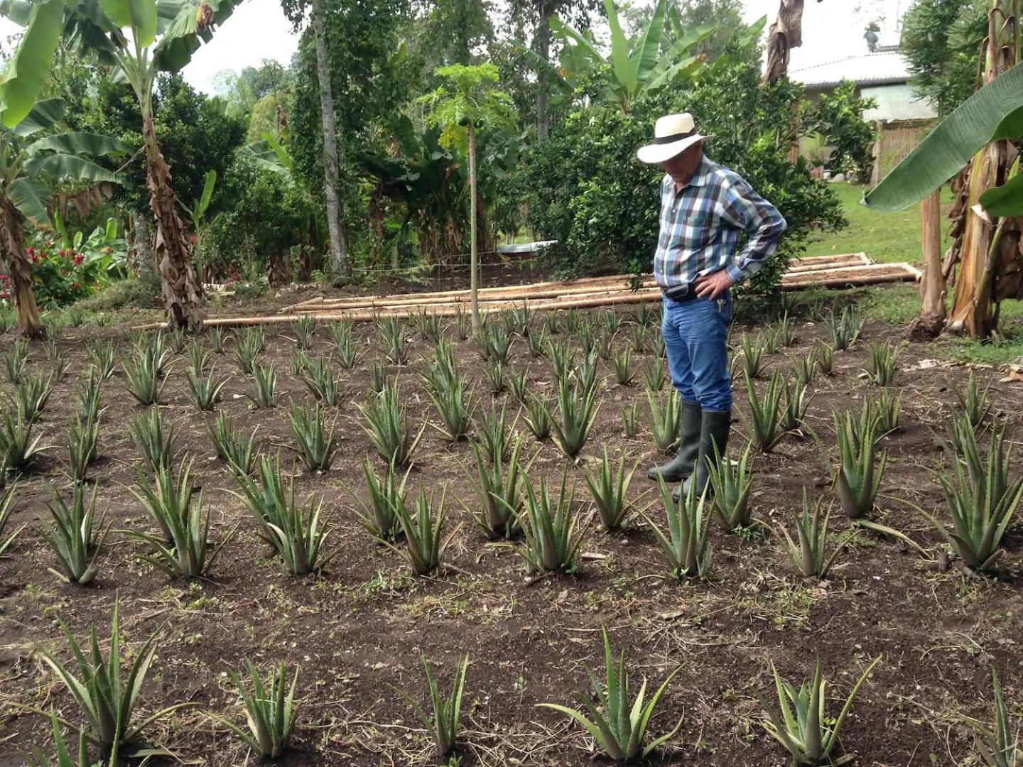 Charming Coffee Region Farm Escape
