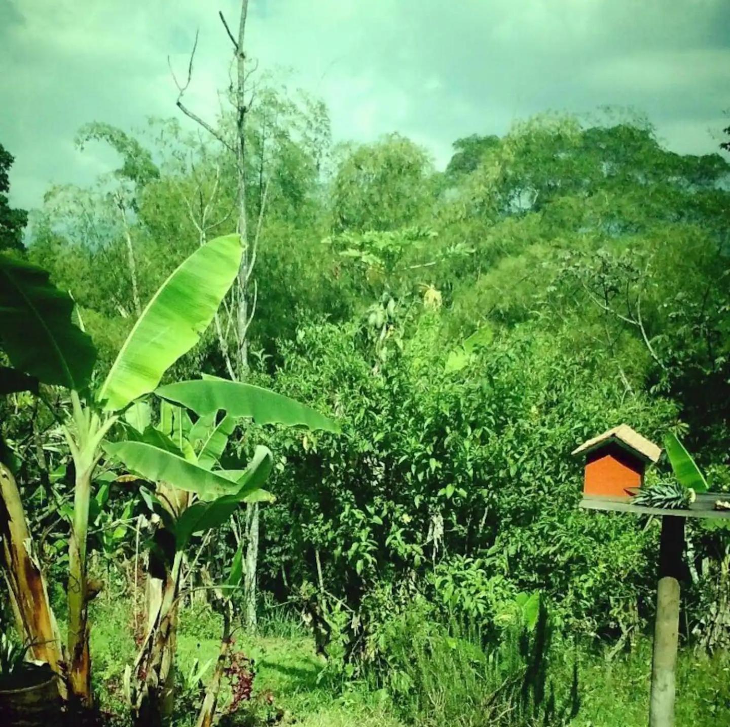 Charming Coffee Region Farm Escape