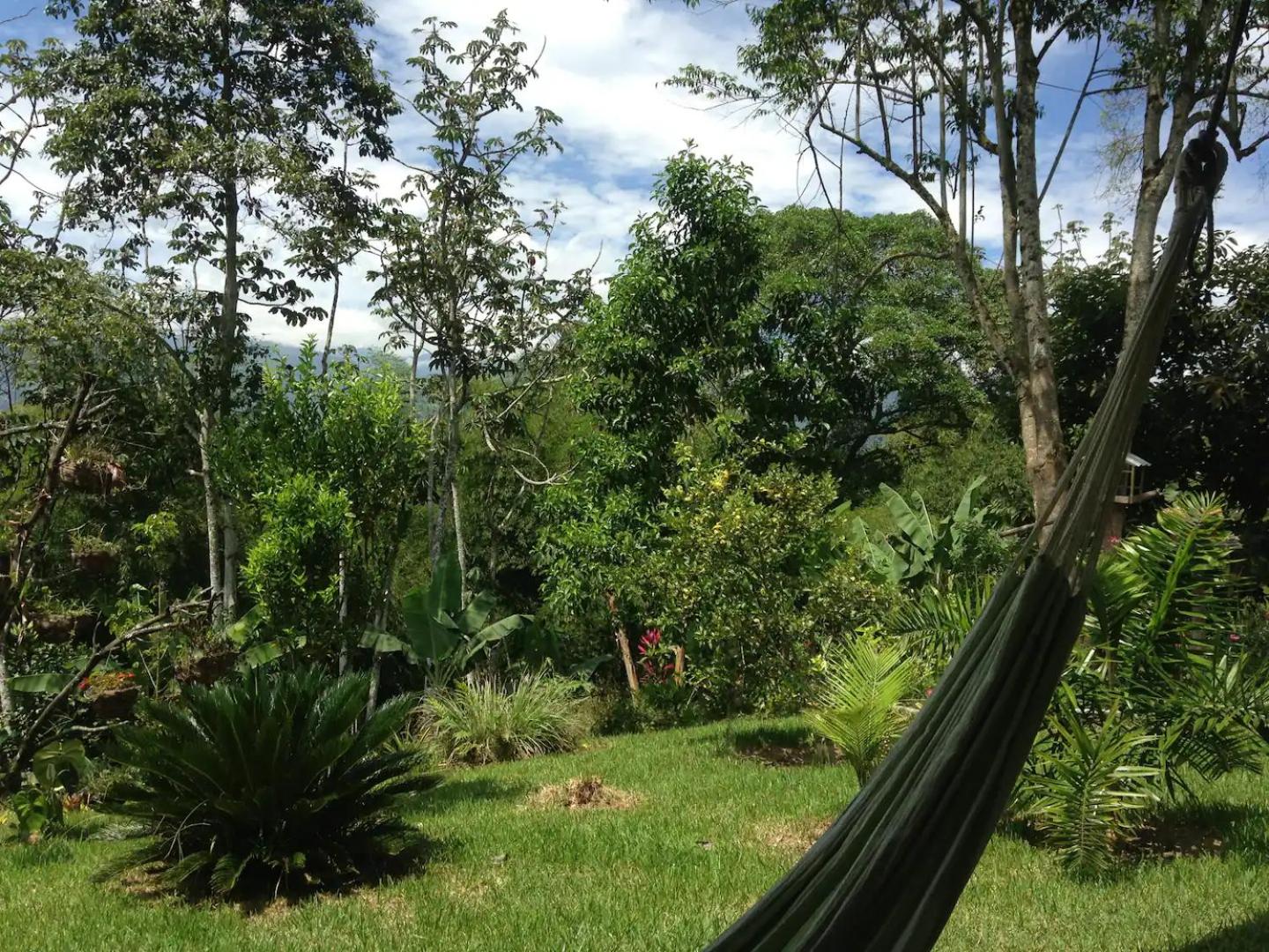 Charming Coffee Region Farm Escape
