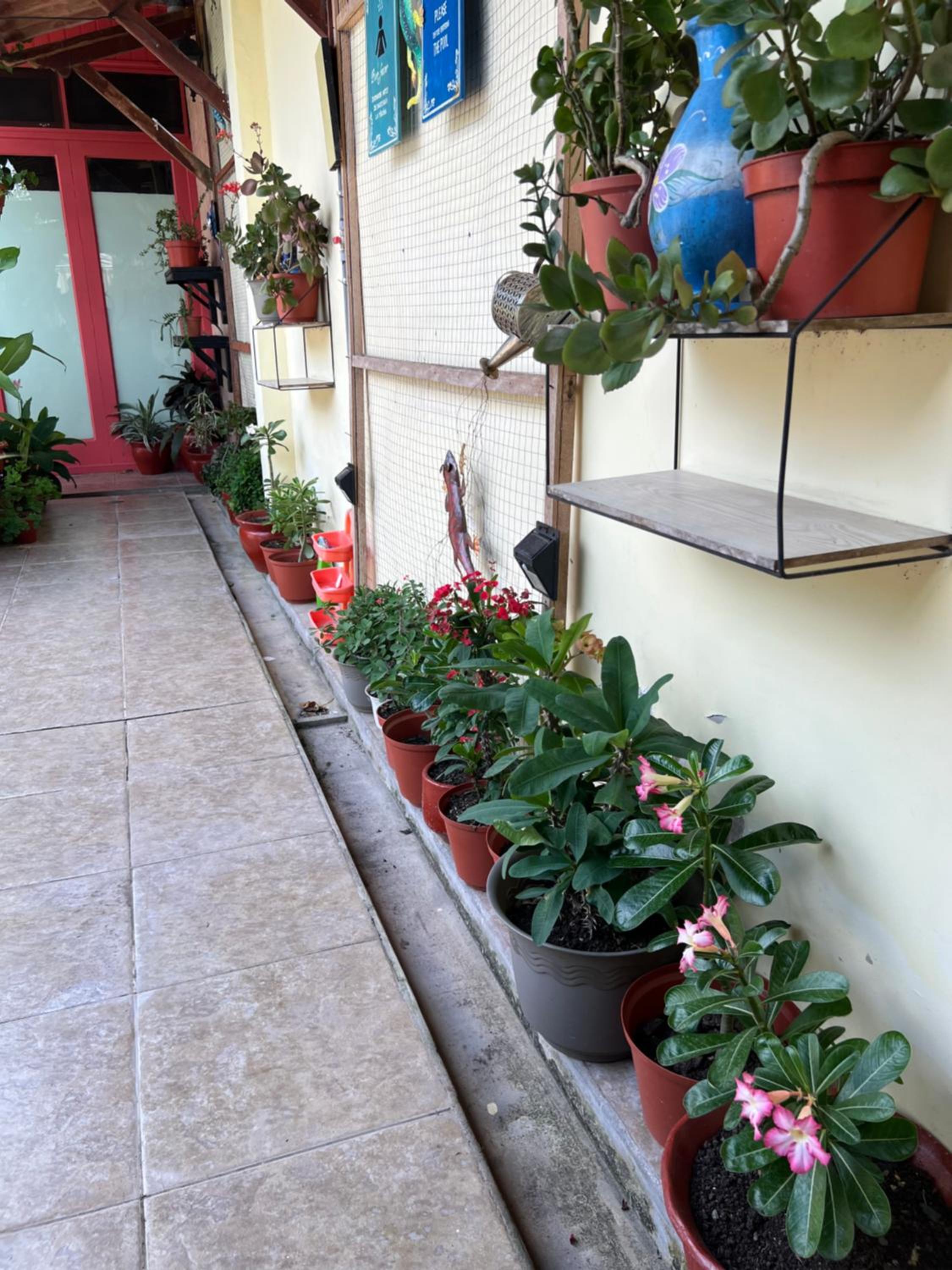 Casa Micaela II