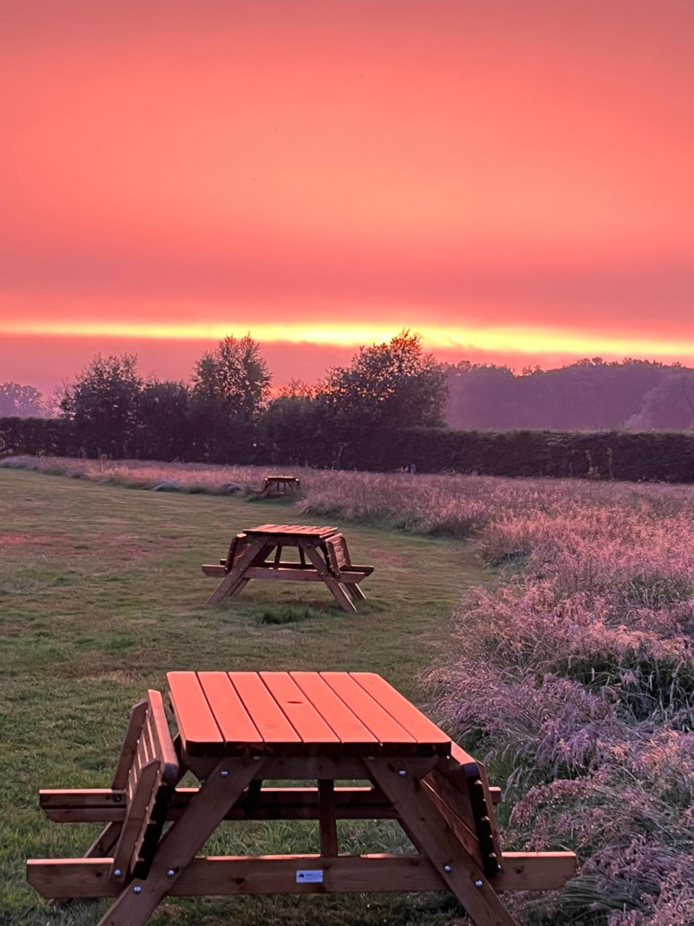 Erve Zonnehoeve B&B en Wijngaard
