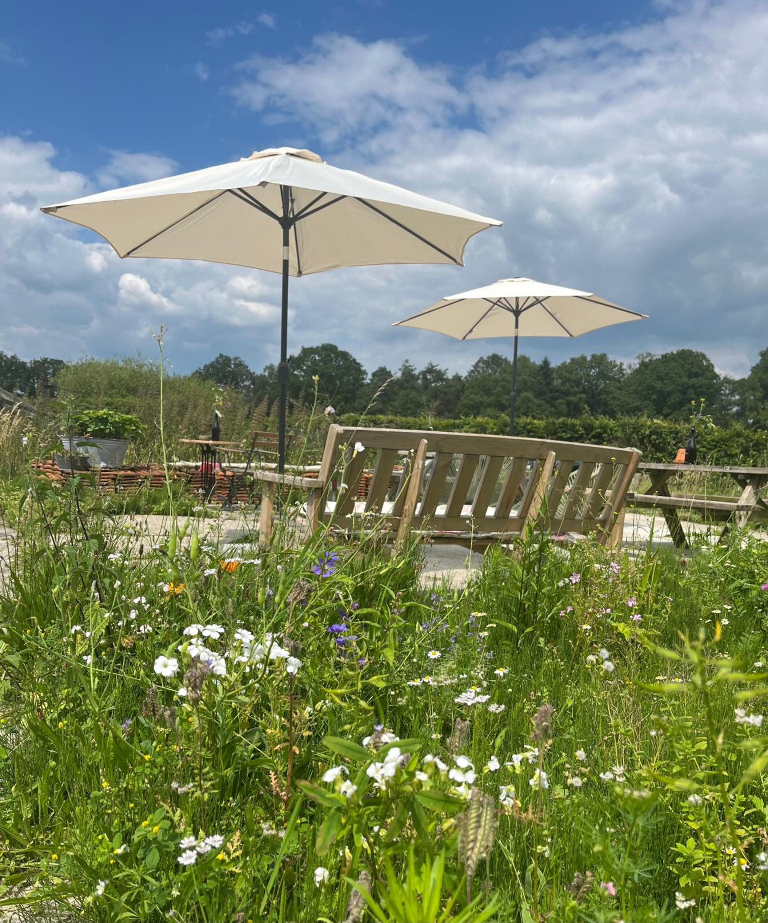 Erve Zonnehoeve B&B en Wijngaard
