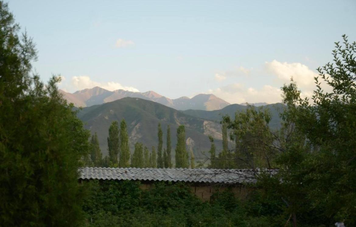 Photo 25