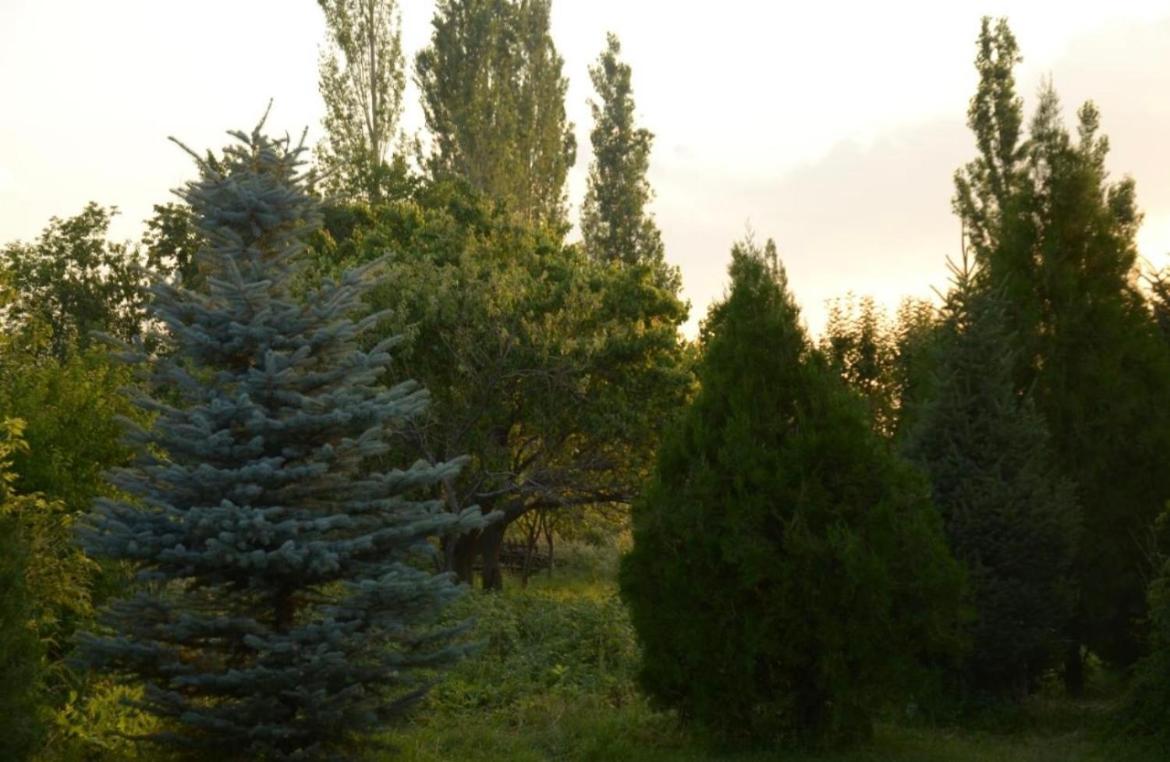 Photo 24